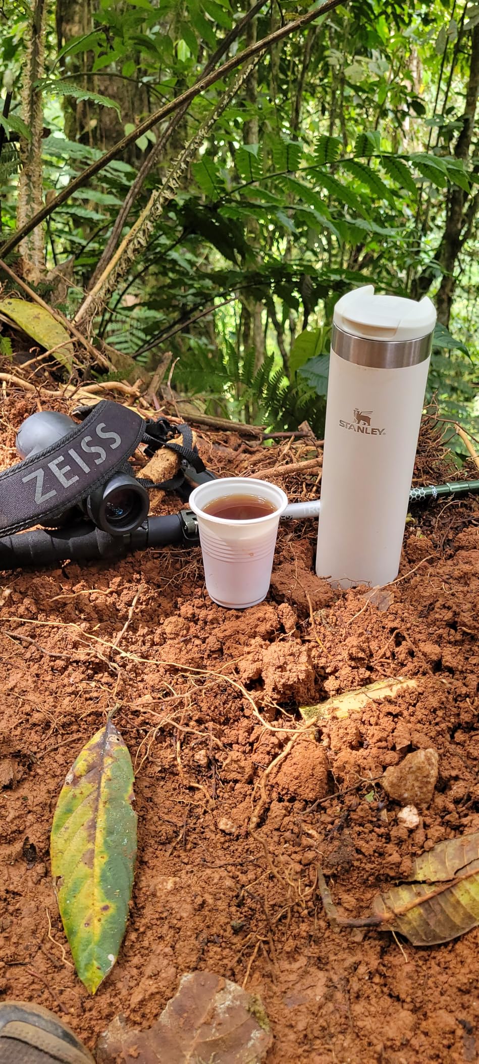 Stanley AeroLight Transit Bottle 20 oz | Locking Drink Through Lid | Leak Resistant Water Bottle or Coffee Travel Mug | Lightweight Insulated Stainless Steel | BPA-Free | Cream customer photo 1