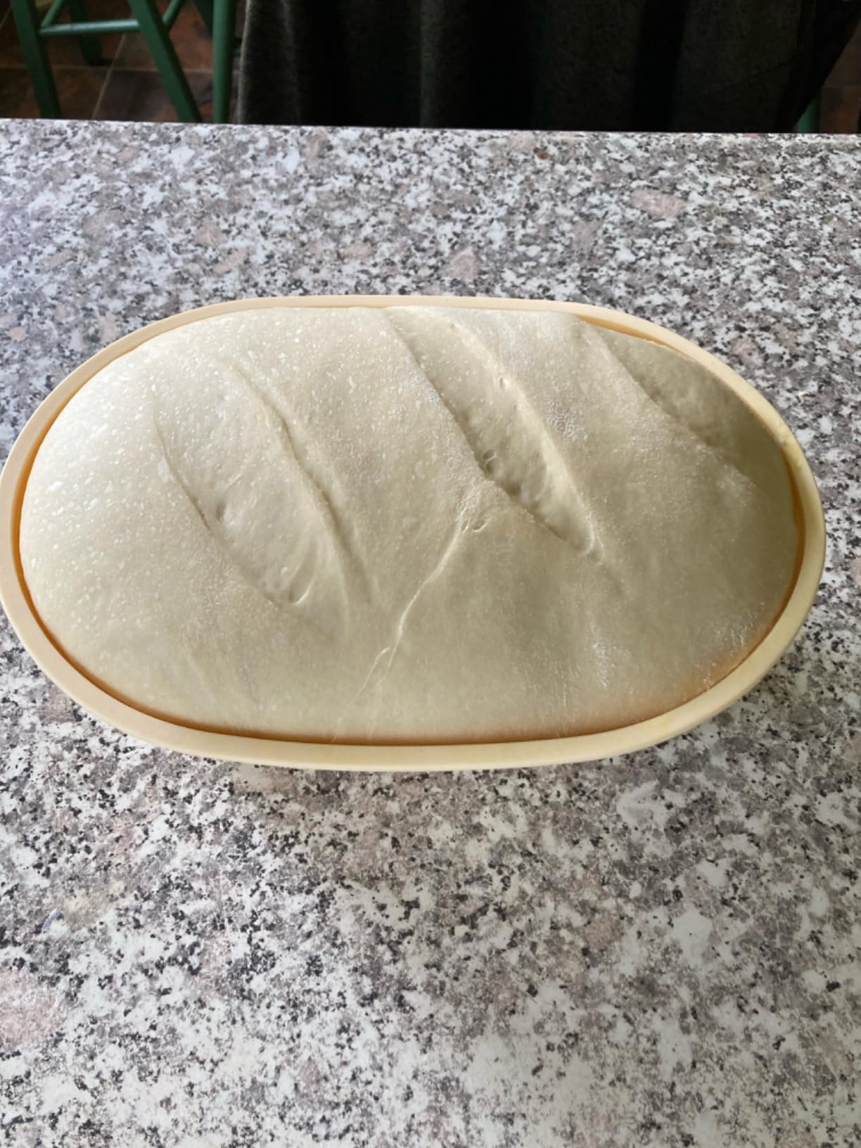 Lorzon Silicone Banneton Bread Proofing Baskets Set of 2, 9