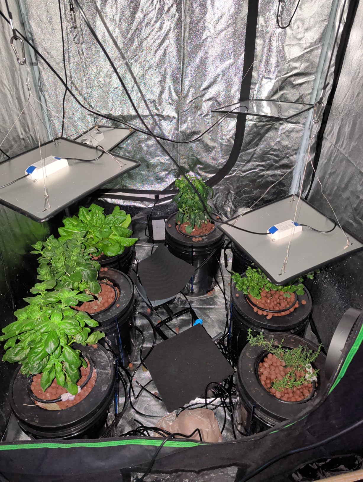VIVOSUN DWC Hydroponics Grow System with Top Drip Kit, 5-Gallon Deep Water Culture, Recirculating Drip Garden System with Multi-Purpose Air Hose, Air Pump, and Air Stone (2 Buckets + Top Drip Kit) customer photo 1