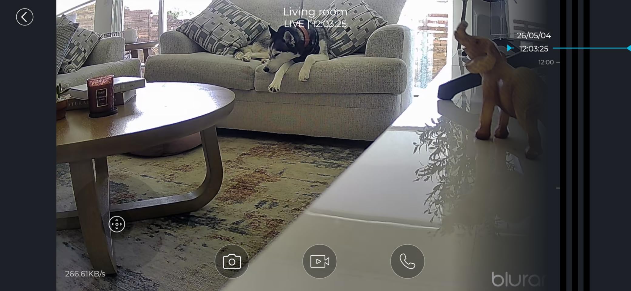 blurams 5G Cameras for Home Security, 2K Pet Camera with Phone App, 360 PTZ Indoor Camera w/Dual-Band WiFi6, Free Human/Motion/Sound Detection, 2-Way Talk, Night Vision, Compatible with Alexa, 2Pack customer photo 2