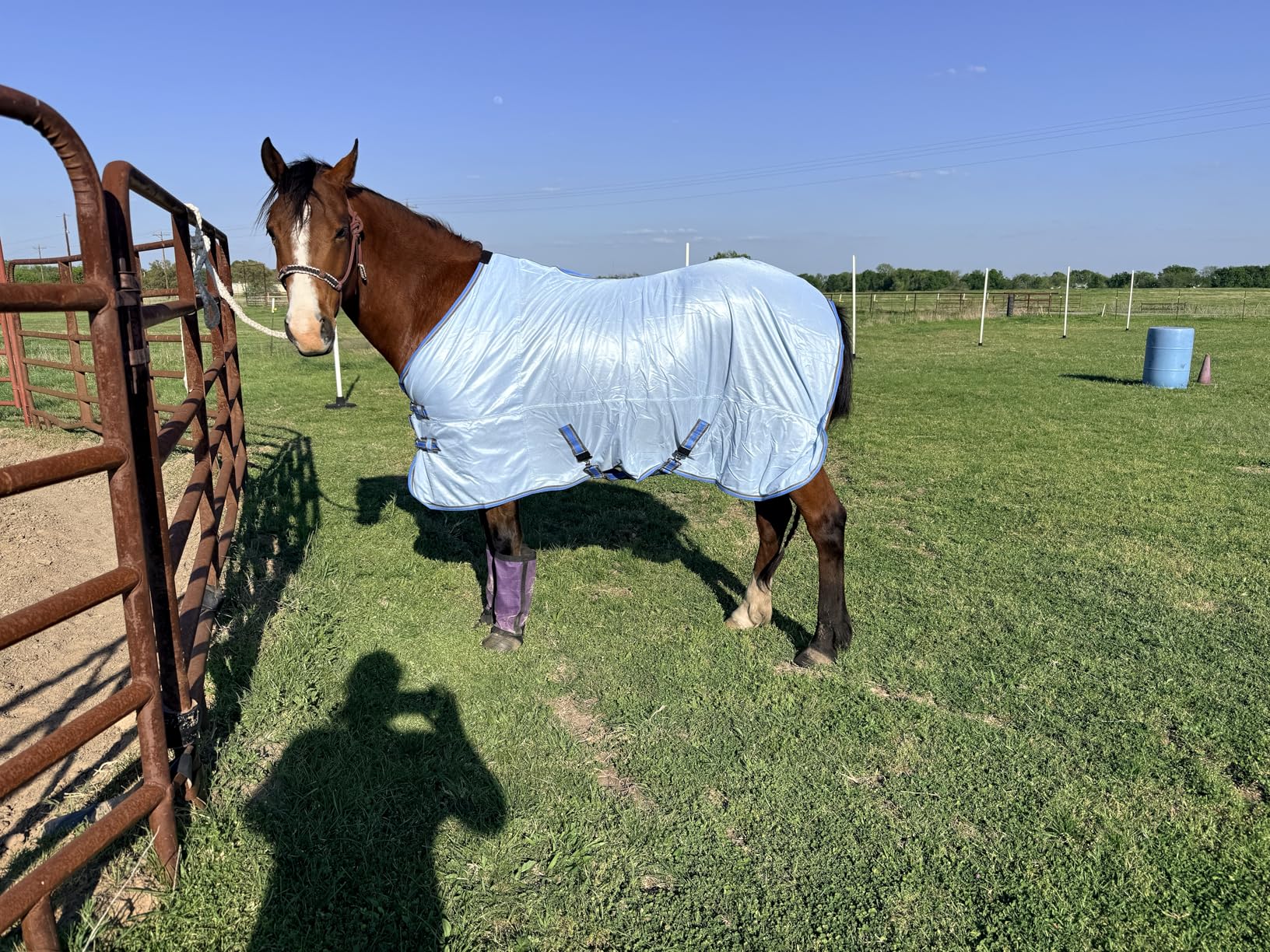 Horse Fly Sheet, Standard Neck Comfy Mesh Fly Sheet for Horses, Equine Summer Sheets UV-Protective Green 75 customer photo 1