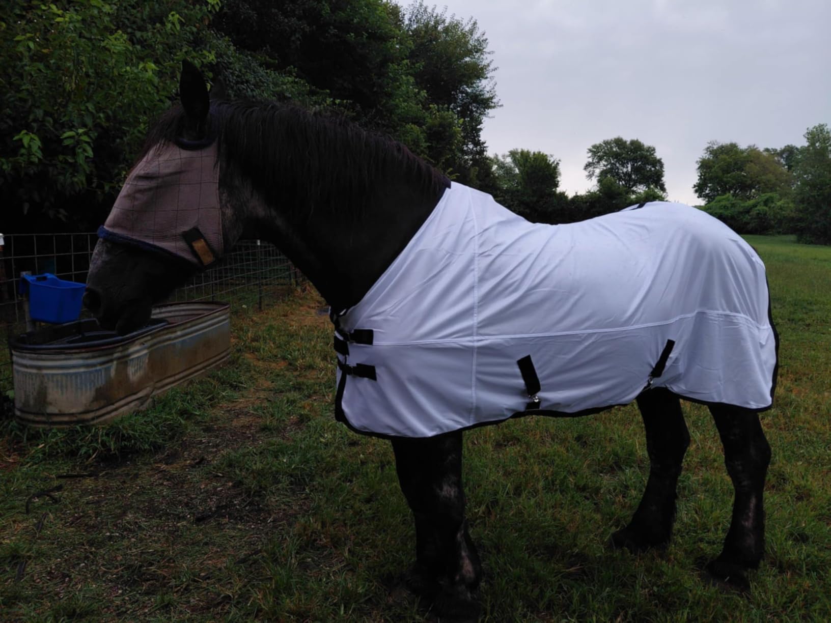 Horse Fly Sheet, Standard Neck Comfy Mesh Fly Sheet for Horses, Equine Summer Sheets UV-Protective Green 75 customer photo 2