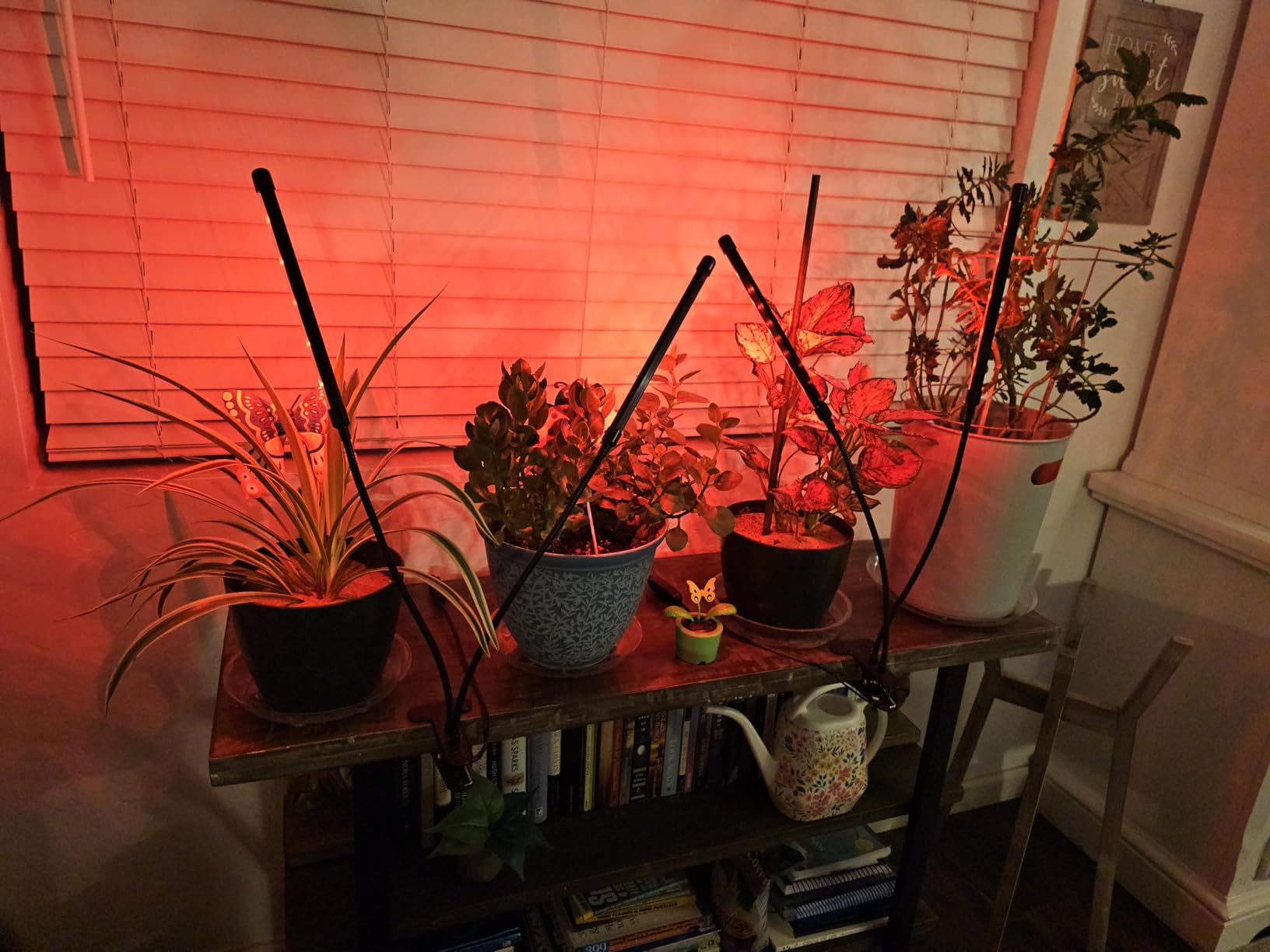 Grow Lights Upgrade 168 LEDs Clip Plant Lights for Indoor Plants, Full Spectrum White+ Red LED Plant Growing Lamps with Flexible Gooseneck, 3/9/12H Timer, 3 Spectral Modes, 10 Dimmable Levels 2 Pack customer photo 1
