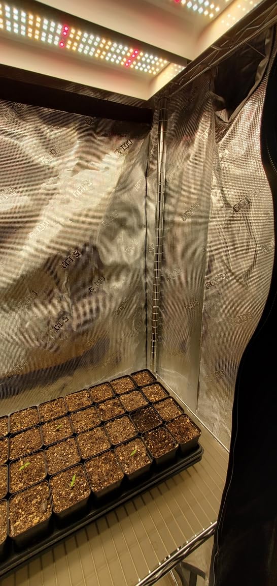 Gorilla Grow Tent 4x4 Fixed Height Indoor Grow Tent, 6'11