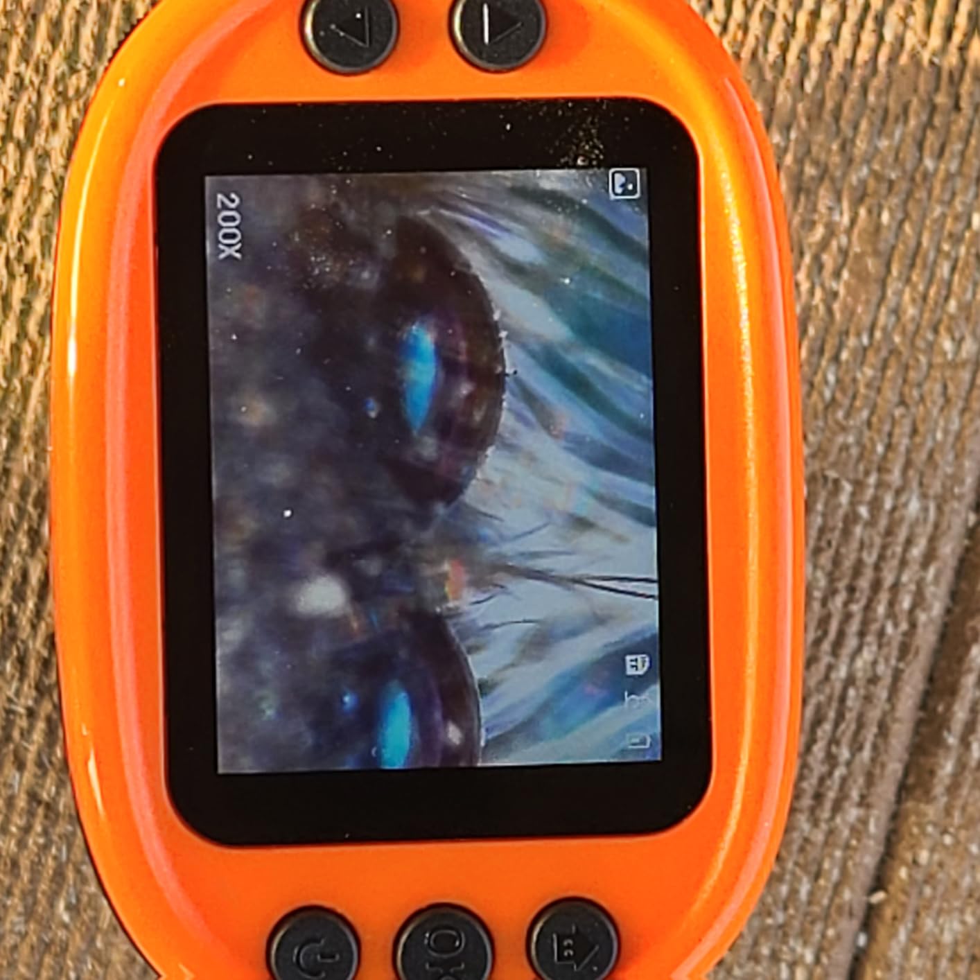 1000X Handheld Microscope for Kids 4K 2.0