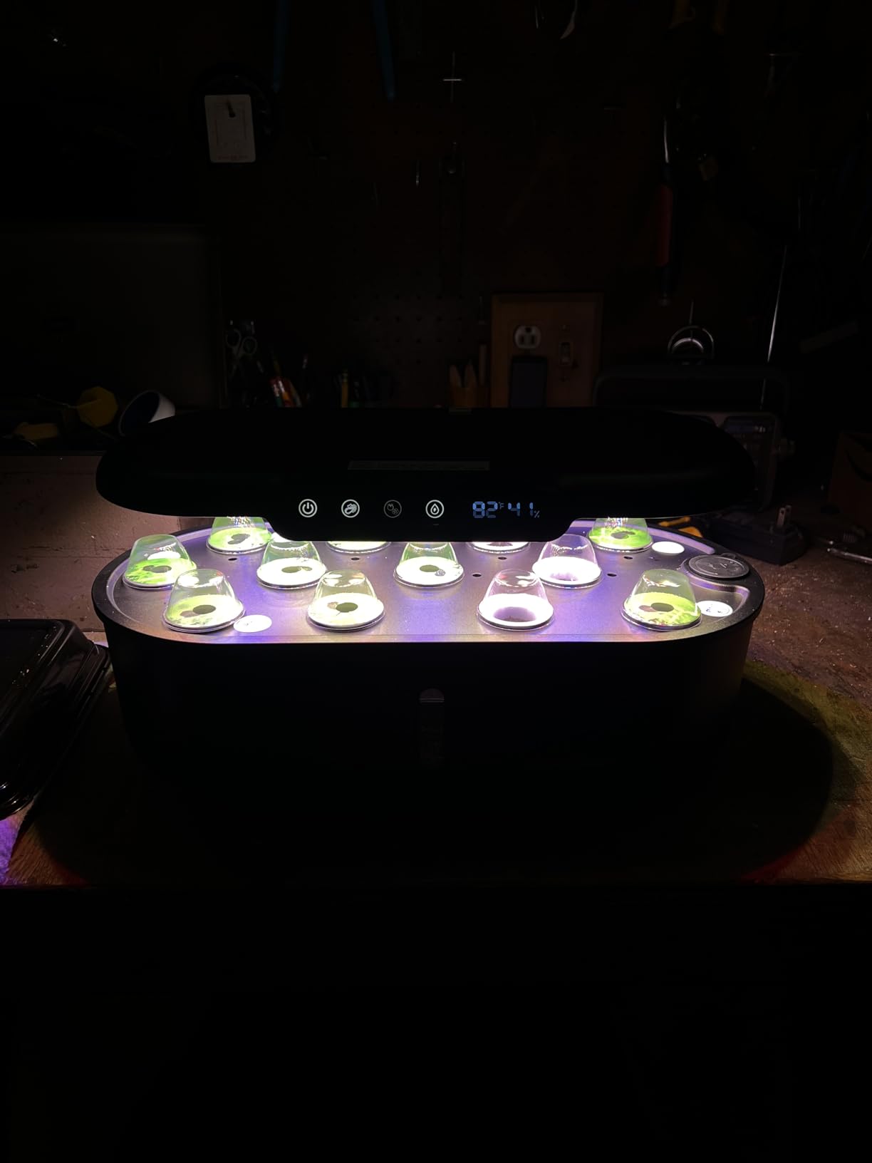 Ahopegarden Hydroponics Growing System kit: 12 Pods Indoor Herb Garden with Smart Environmental Detection - Full Spectrum LED Grow Light for Growing Vegetables，Herbs and Lettuce - Home Gardening customer photo 1