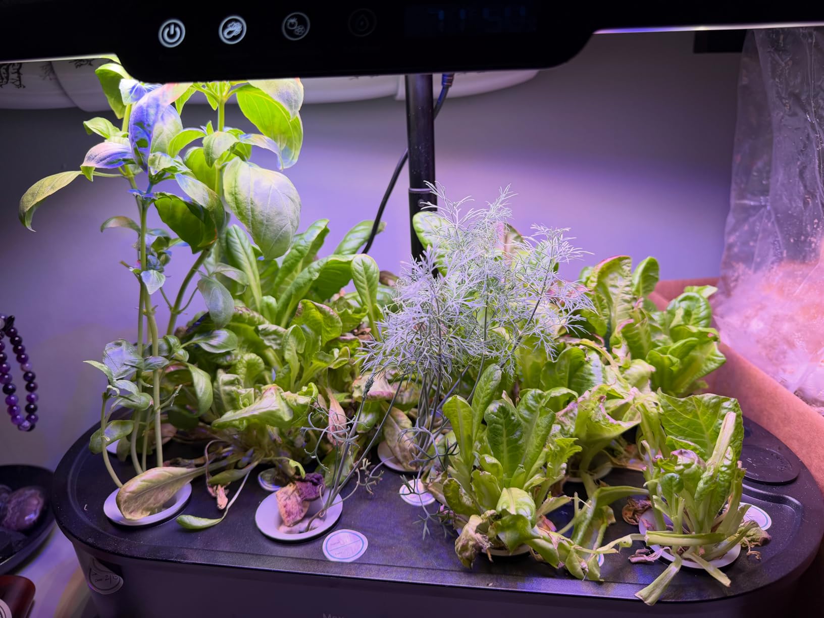 Ahopegarden Hydroponics Growing System kit: 12 Pods Indoor Herb Garden with Smart Environmental Detection - Full Spectrum LED Grow Light for Growing Vegetables，Herbs and Lettuce - Home Gardening customer photo 2
