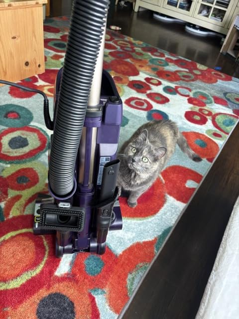 Shark POWERDETECT Upright Vacuum Cleaner with HEPA Filter, Heavy Duty Vacuum with Powerful Suction for Pet Hair Pickup, DuoClean Technology, Powered Lift-Away, Ideal for Carpets & Hardfloors, AZ4002 customer photo 2