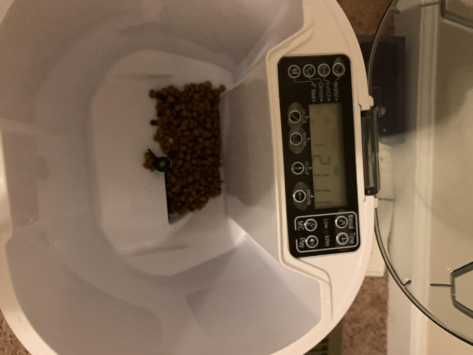 Automatic Cat Feeder with Camera, 3MP HD Video & Night Vision, 5G/2.4G WiFi Smart Pet Feeder with APP Control, 2-Way Audio, Motion Alerts, Low Food Sensor, Timed Cat Feeder for Cats & Dogs, 4L customer photo 2