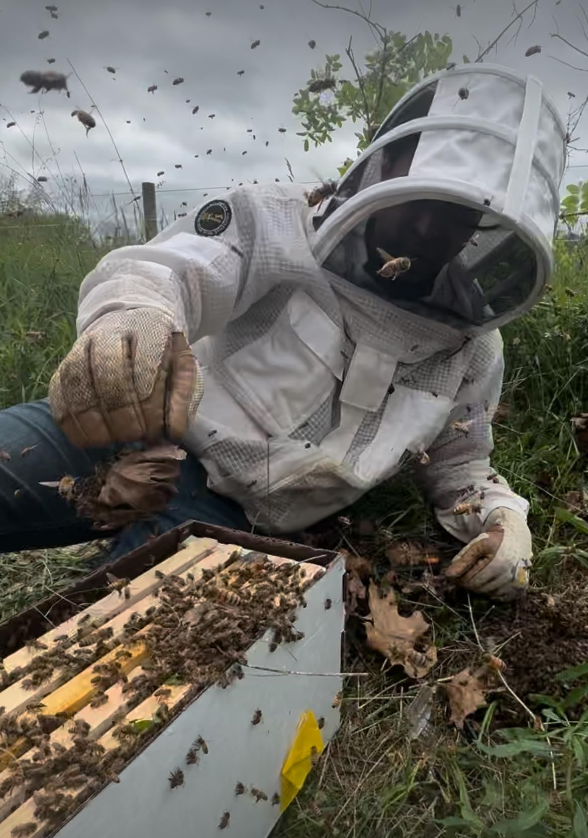 Heavy Duty Beekeeping Gloves, Extended Cuff, 5mm Cowhide with Patented Ventilation Beekeeping Supplies customer photo 1