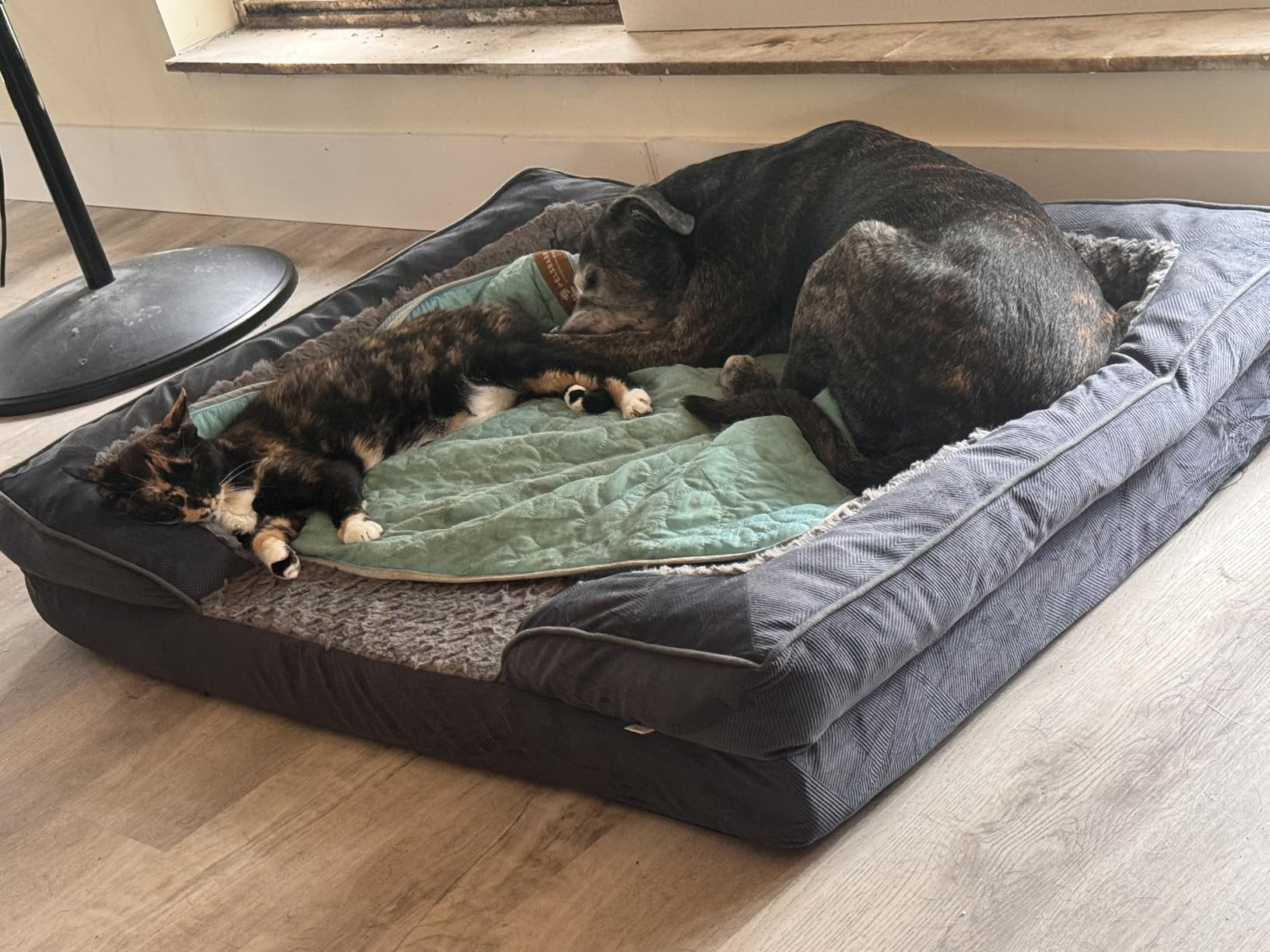 INVENHO Orthopedic Dog Beds Large Sized, XL Washable Dog Sofa with Egg-Crate Foam, Waterproof Lining and Non-Skid Bottom customer photo 1