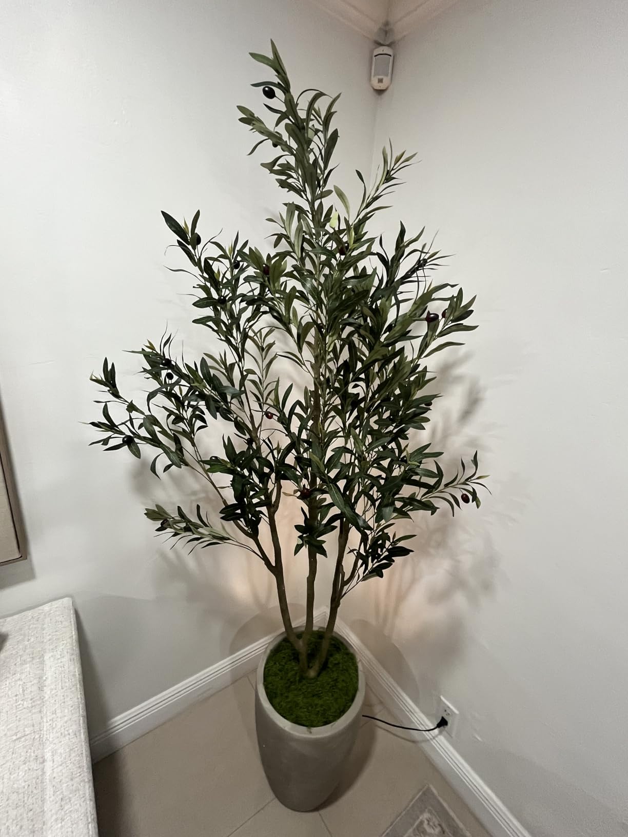 VIVATREES Olive Trees Artificial Indoor, 5FT Tall Faux Olive Tree with White Tall Planter, Artificial Plants with Natural Wood Trunk and Lifelike Fruits for Home Office Decor customer photo 1