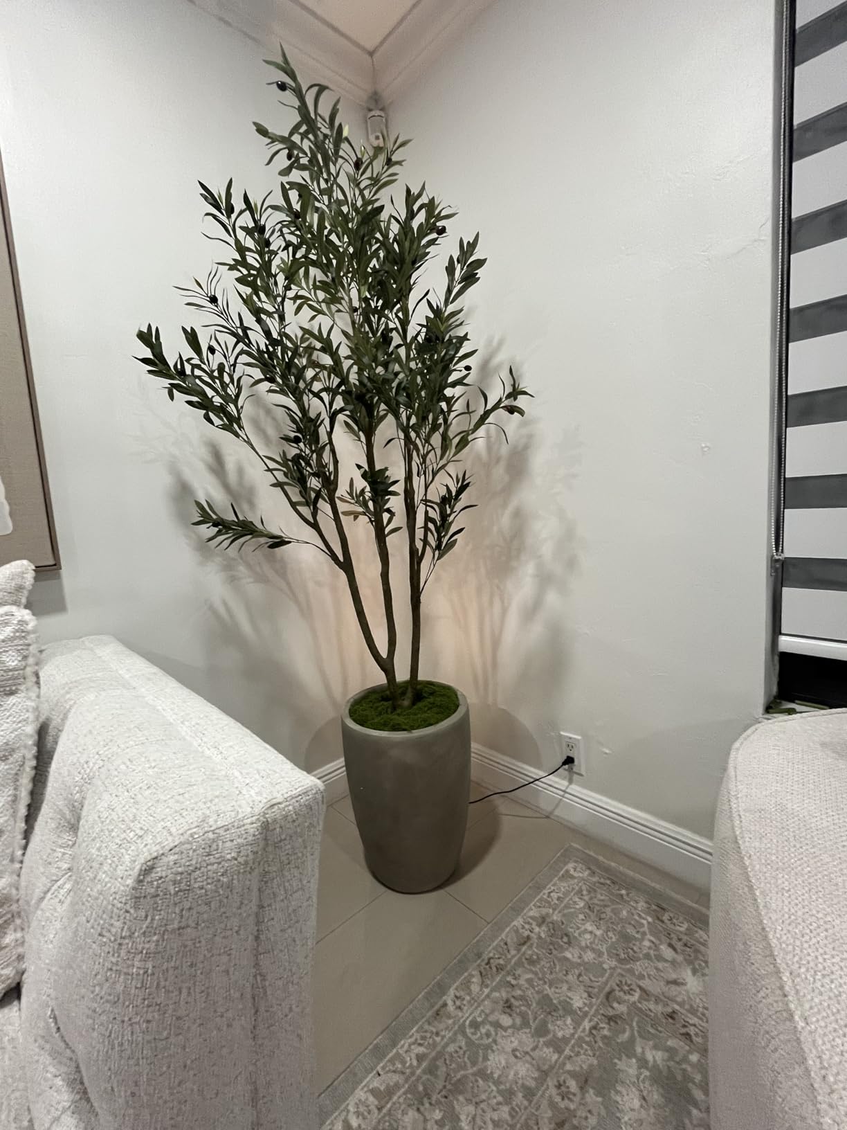 VIVATREES Olive Trees Artificial Indoor, 5FT Tall Faux Olive Tree with White Tall Planter, Artificial Plants with Natural Wood Trunk and Lifelike Fruits for Home Office Decor customer photo 2