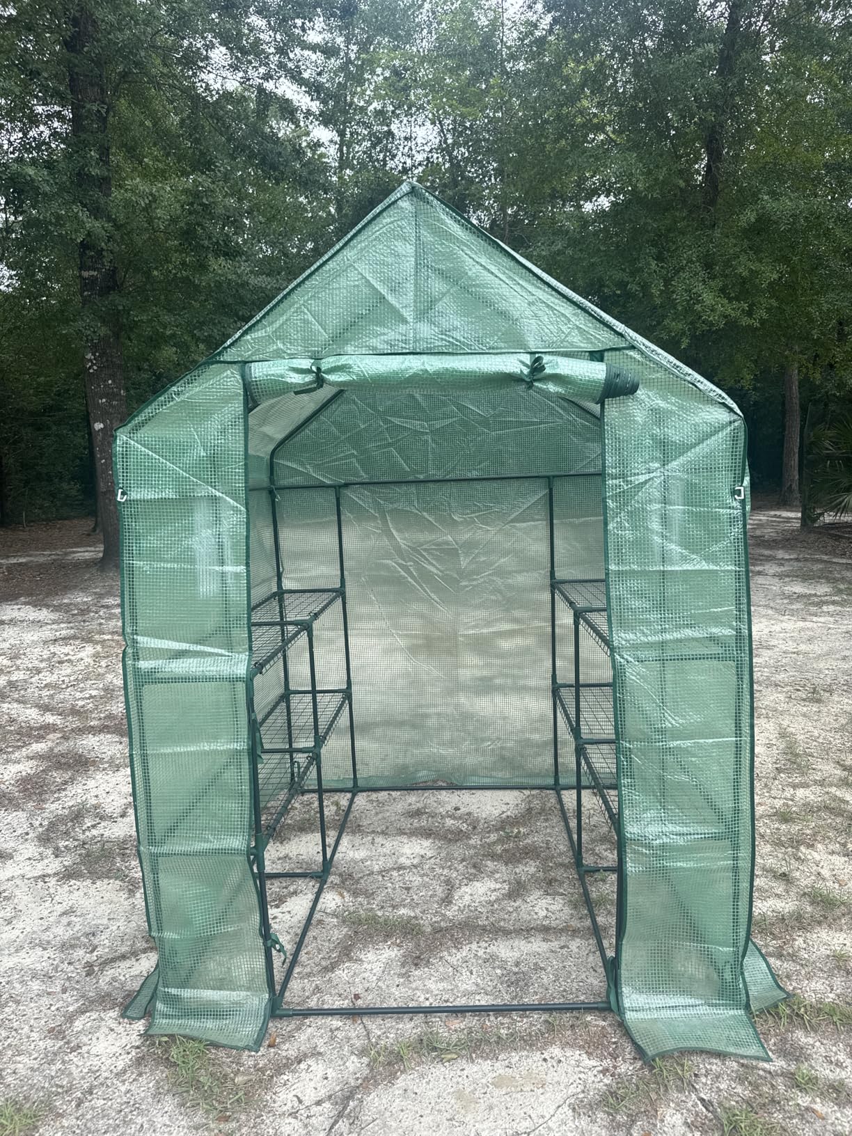 SPECILITE 56×56×78Inch Walk-in Greenhouse, Heavy Duty Small Plant House with Thicken PE Cover and Steel Frame, for Garden, Outdoors, Indoors, Green customer photo 1