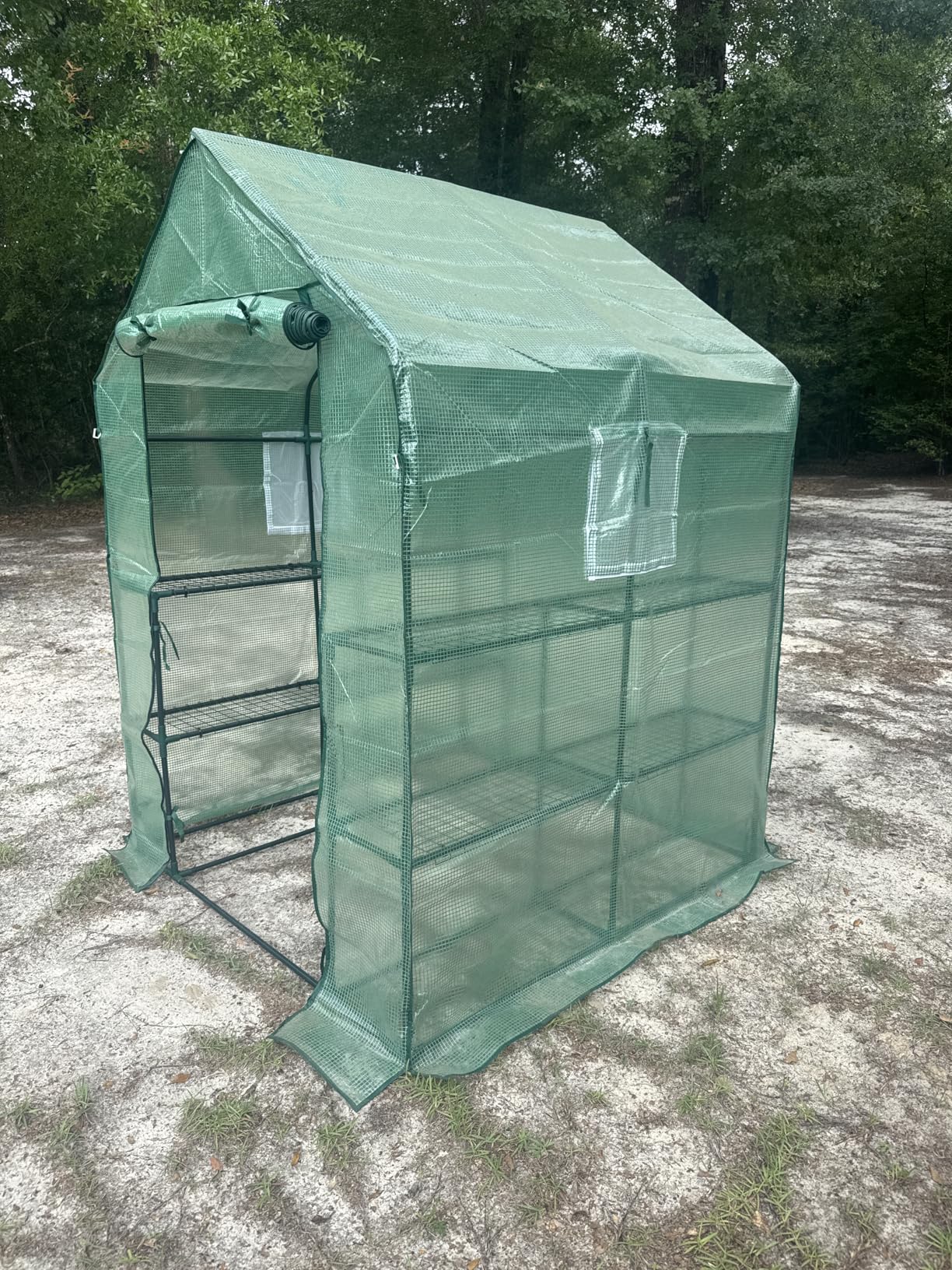 SPECILITE 56×56×78Inch Walk-in Greenhouse, Heavy Duty Small Plant House with Thicken PE Cover and Steel Frame, for Garden, Outdoors, Indoors, Green customer photo 2