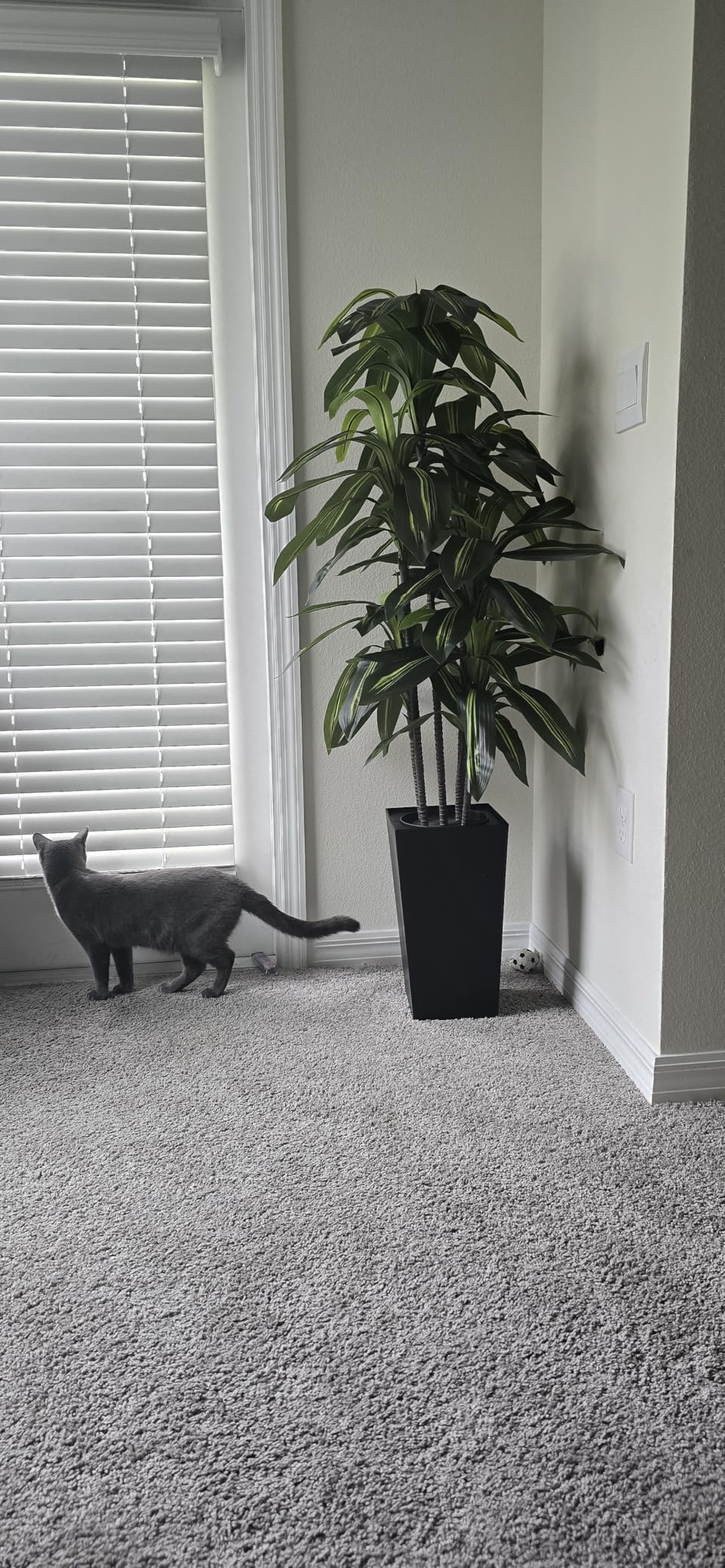 Artificial Dracaena Tree 5FT - Fake Tree with Black Tall Planter - Faux Yucca Tall Fake Floor Plant in Pot - Artificial Plant for Home Office Living Room Decor Indoor customer photo 1