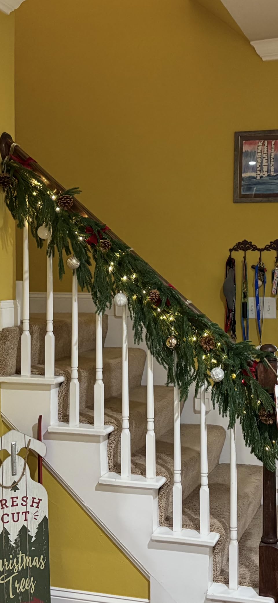 Hananona 2 Pcs 6 Ft Artificial Norfolk Pine Garlands, Real Touch Winter Pine Garland, Green Artificial Greenery Garland for Table, Mantle, Wall, Indoor, Outdoor Christmas Decorations customer photo 2