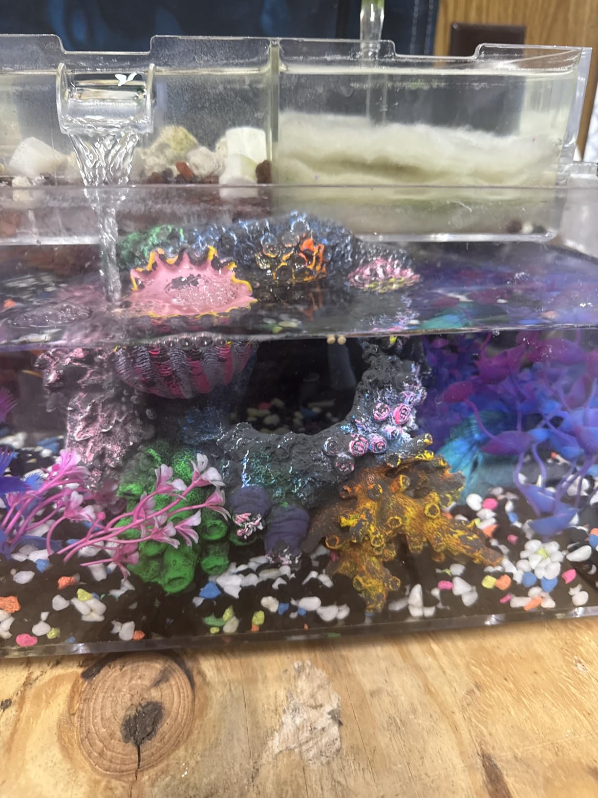 Betta Fish Tank Kit, 2.5 Gallon Aquarium Self-Cleaning with LED Light, Filter, Heater, Decorations and Accessories - Ideal for Hydroponic Growing System and Aquaponics customer photo 1