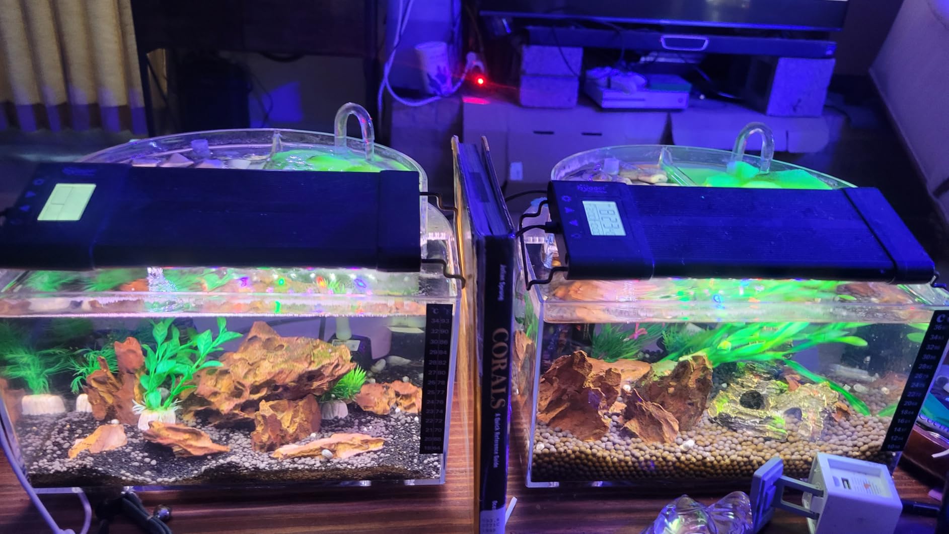 Betta Fish Tank Kit, 2.5 Gallon Aquarium Self-Cleaning with LED Light, Filter, Heater, Decorations and Accessories - Ideal for Hydroponic Growing System and Aquaponics customer photo 2