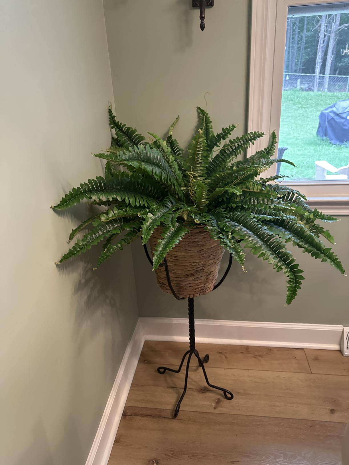 Dkaltm Artificial Boston Fern Bush- Set of 2 Large Artificial Ferns for Outdoors, 45Inch Large Faux Ferns, Suitable for Office & Living Room Decor, 55Branches for Each Bouquet customer photo 1