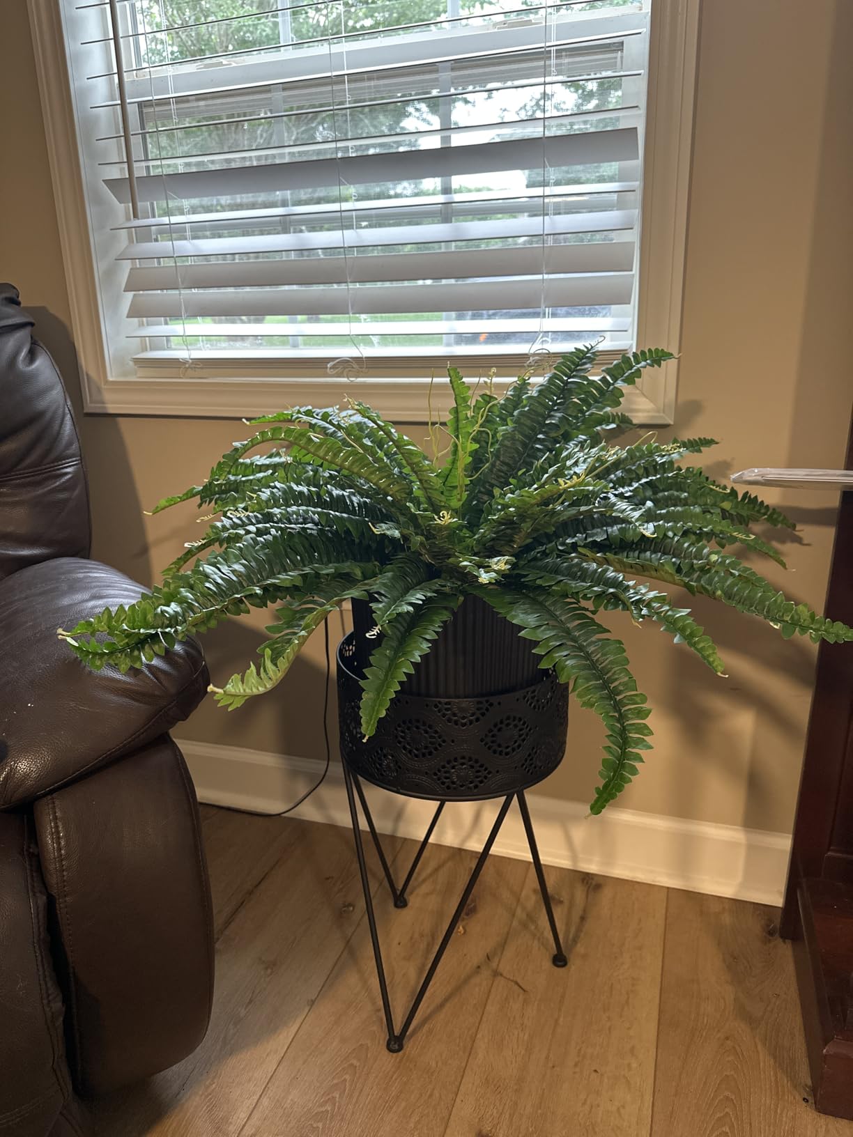 Dkaltm Artificial Boston Fern Bush- Set of 2 Large Artificial Ferns for Outdoors, 45Inch Large Faux Ferns, Suitable for Office & Living Room Decor, 55Branches for Each Bouquet customer photo 2