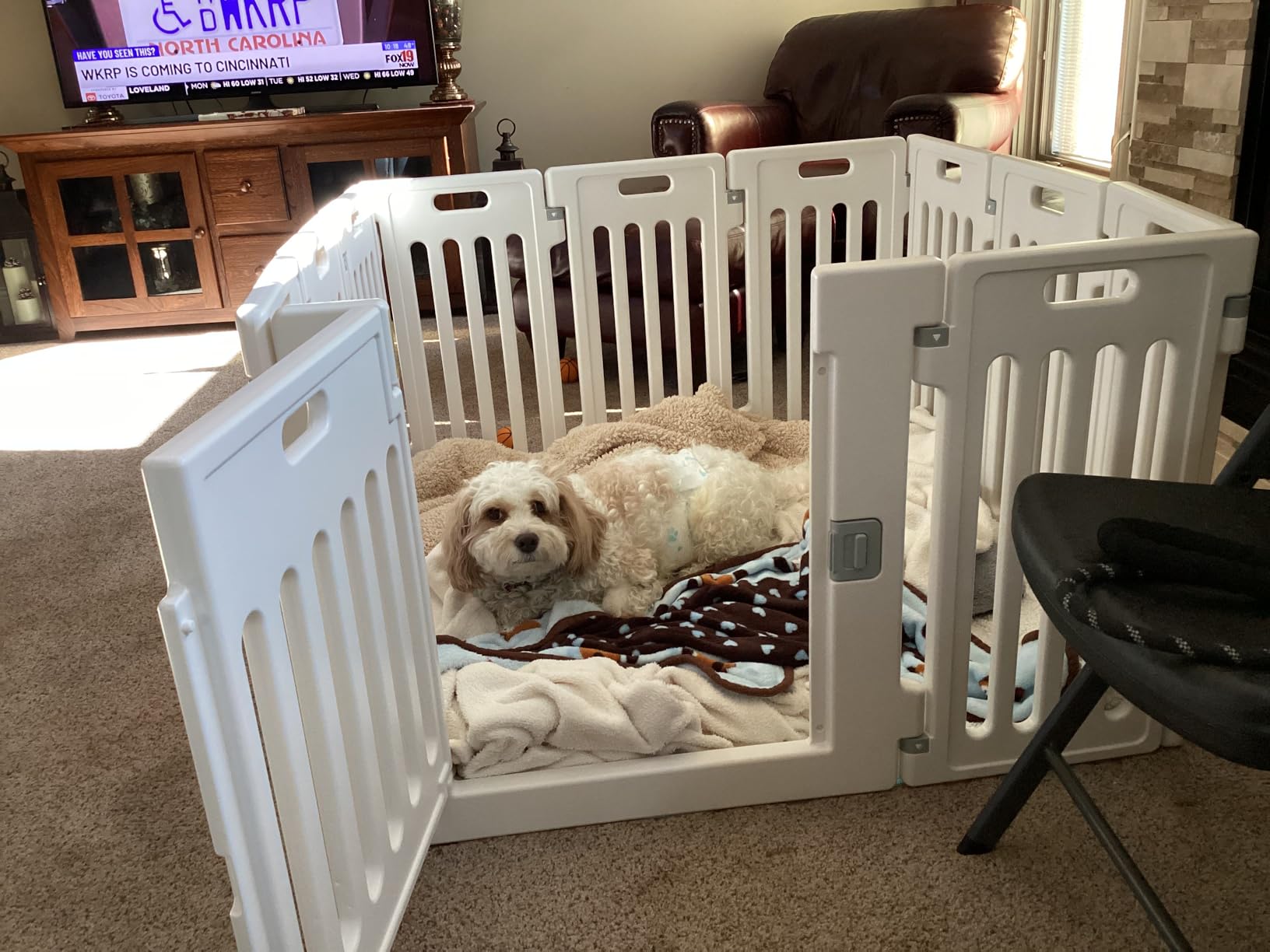 BIRDROCK HOME Dog Playpen w/Door, 12 Panel, 25.6in H | Strong Plastic, Non-Slip Puppy Playpen, Secure Pet Gate | Indoor Outdoor Fence | Configurable Panels | Small to Medium Pets - Black customer photo 1