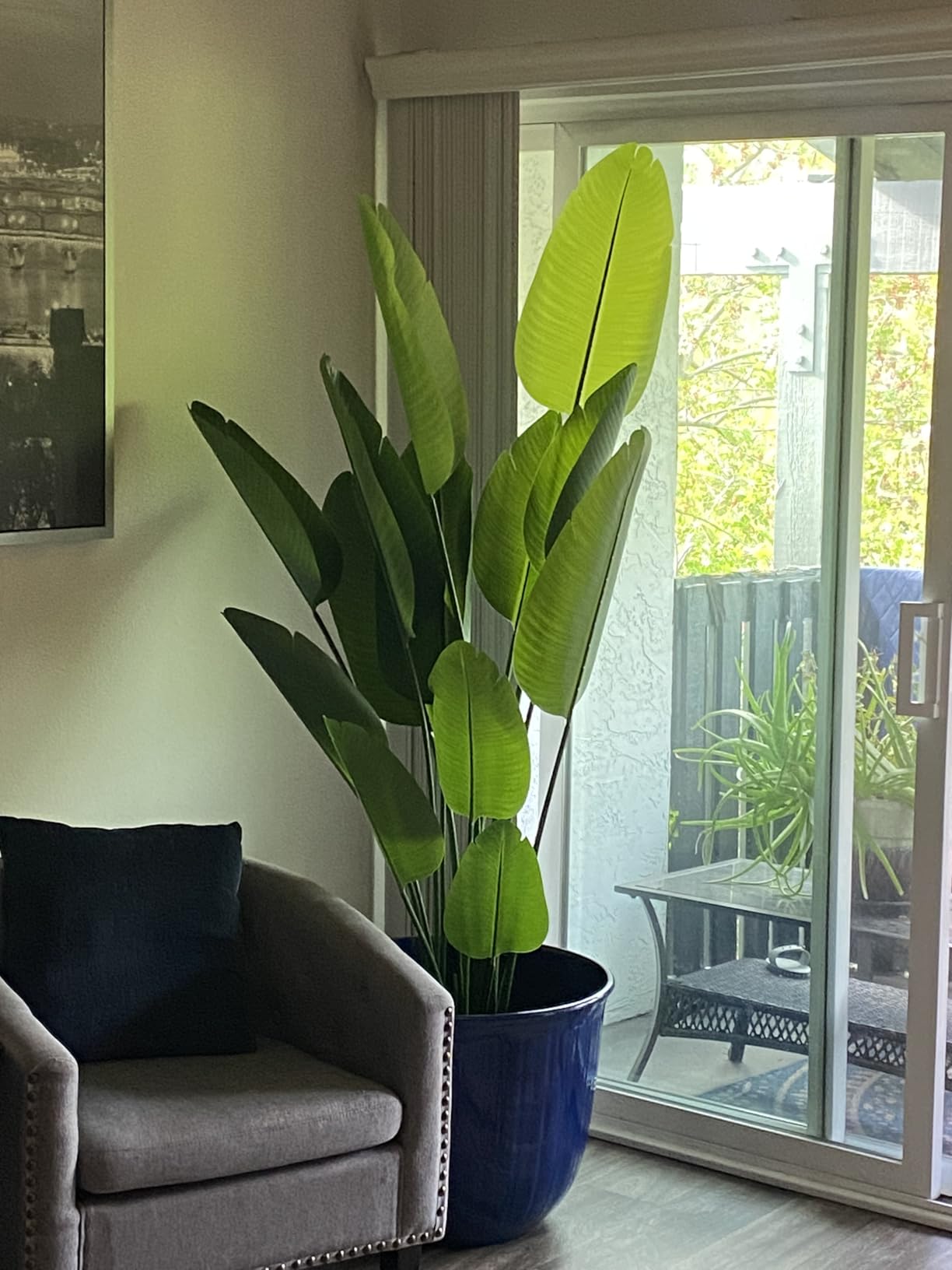 Bird of Paradise Plant Artificial 6ft,Faux Plants Indoor Tall with 12 Trunks - The Perfect Indoor Silk Floor Plant for Home Decor in Living Room, Office, and Bedroom (6FT Bird of Paradise) customer photo 1