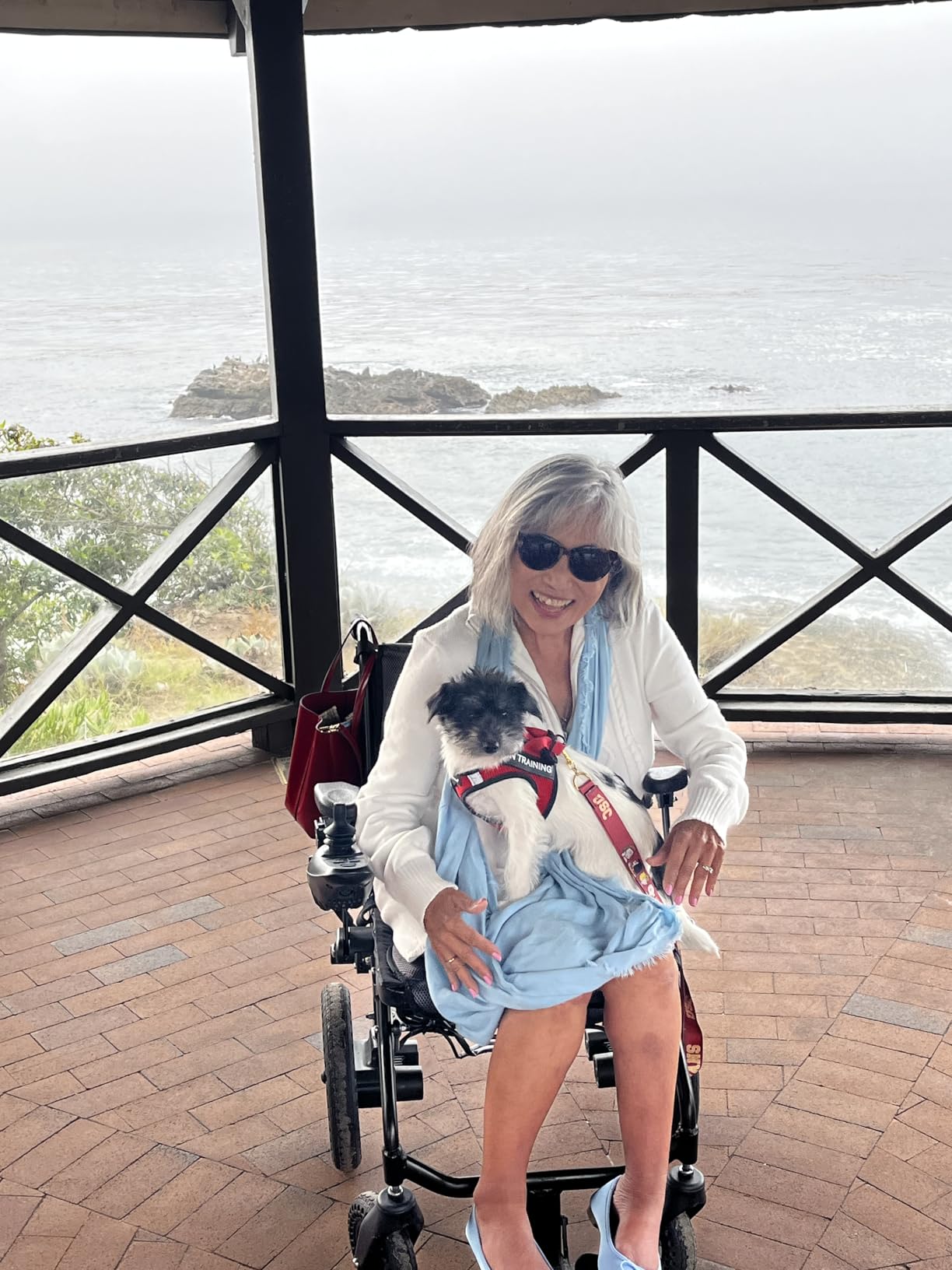 SLB30 Electric Wheelchairs for Adults, Lightweight Foldable Motorized Wheelchair with Removable Battery Liftable Armrest Airline Approved (30 Lbs, Grey) customer photo 2