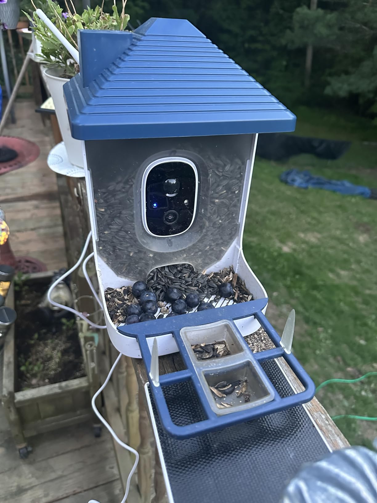 Smart Bird Feeder with Camera, AI Identify Species, Bird House with Solar Powered, Instant Arrival Alerts, 2K HD Capture Video Live View, Gift for Birds Lover (Indigo Blue) customer photo 2