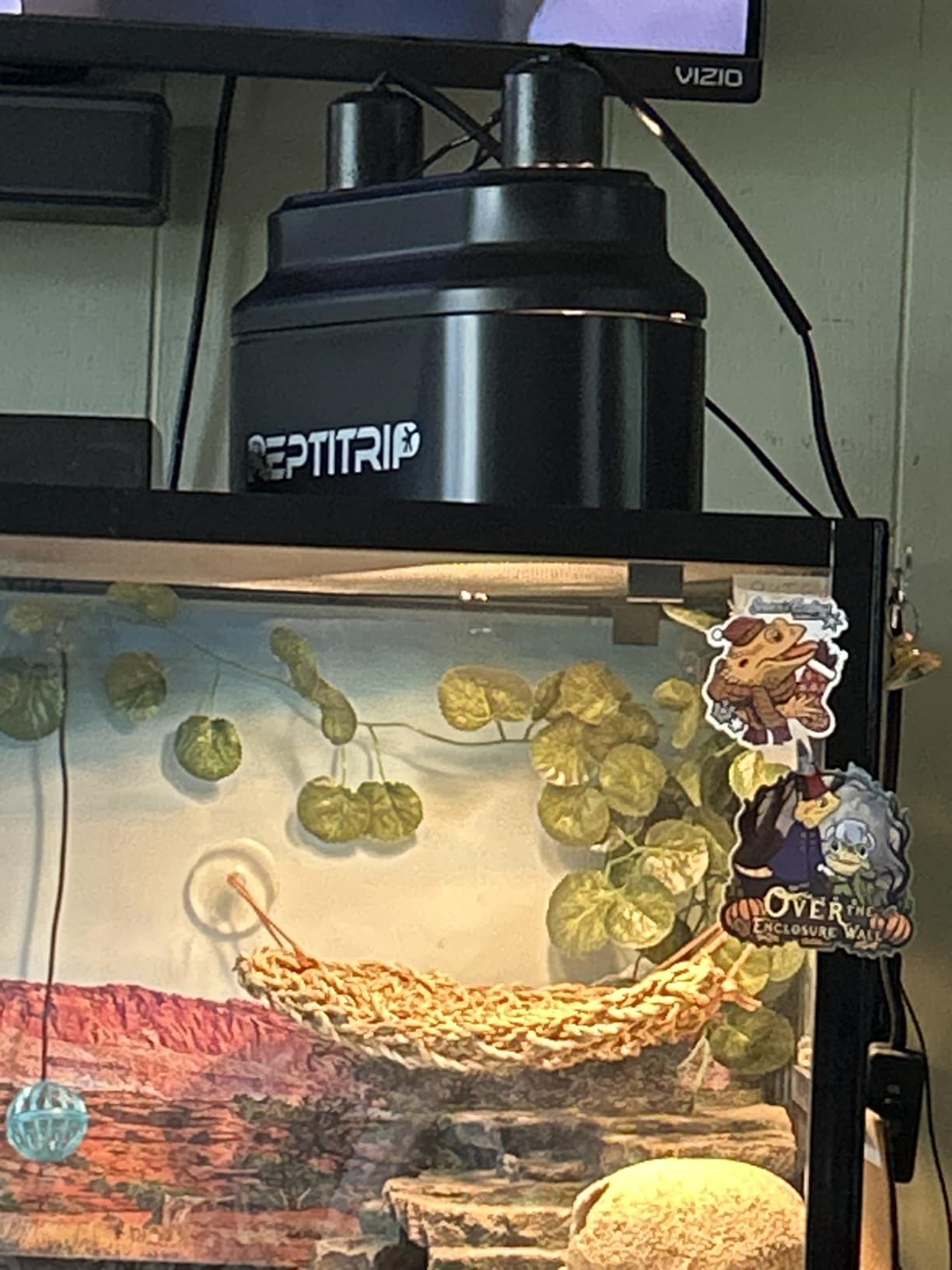 Dual Reptile Light Fixture with Switches, Reptile Heat Lamp Fixture, Reptiles Terrarium UVB Bulb Fixture for Bearded Dragon, Max 160W Each (Bulb Not Included) customer photo 1