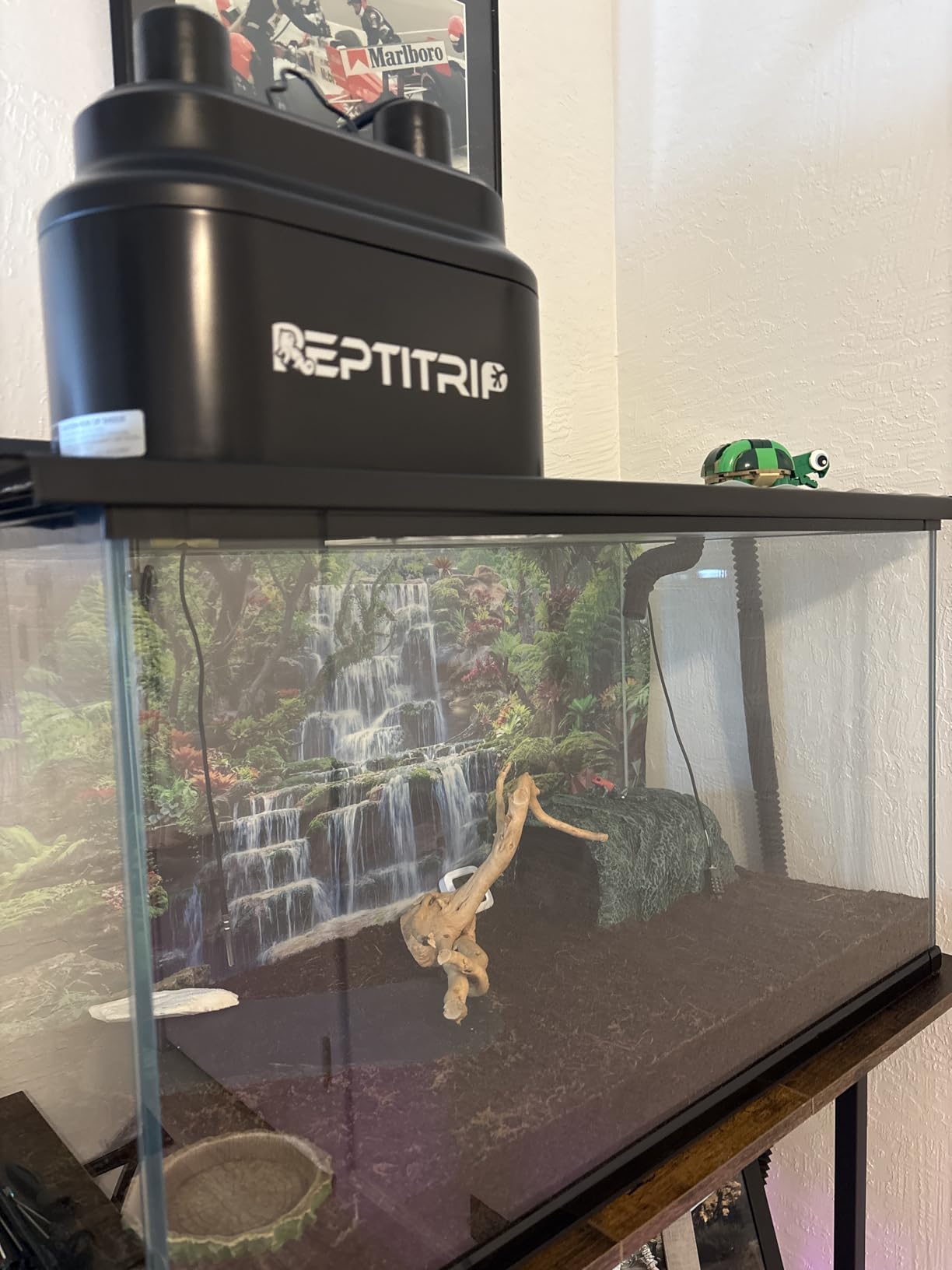 Dual Reptile Light Fixture with Switches, Reptile Heat Lamp Fixture, Reptiles Terrarium UVB Bulb Fixture for Bearded Dragon, Max 160W Each (Bulb Not Included) customer photo 2