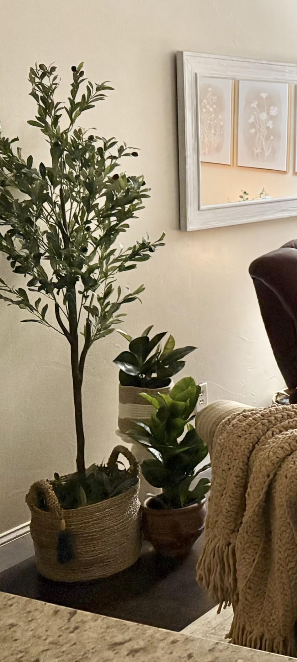 6FT Artificial Olive Tree - Indoor Tall Faux Olive Trees with Planter&Basket, Large Fake Olive Silk Tree Realistic Olive Plants with Branches and Fruits for Home Decor Office Living Room customer photo 2