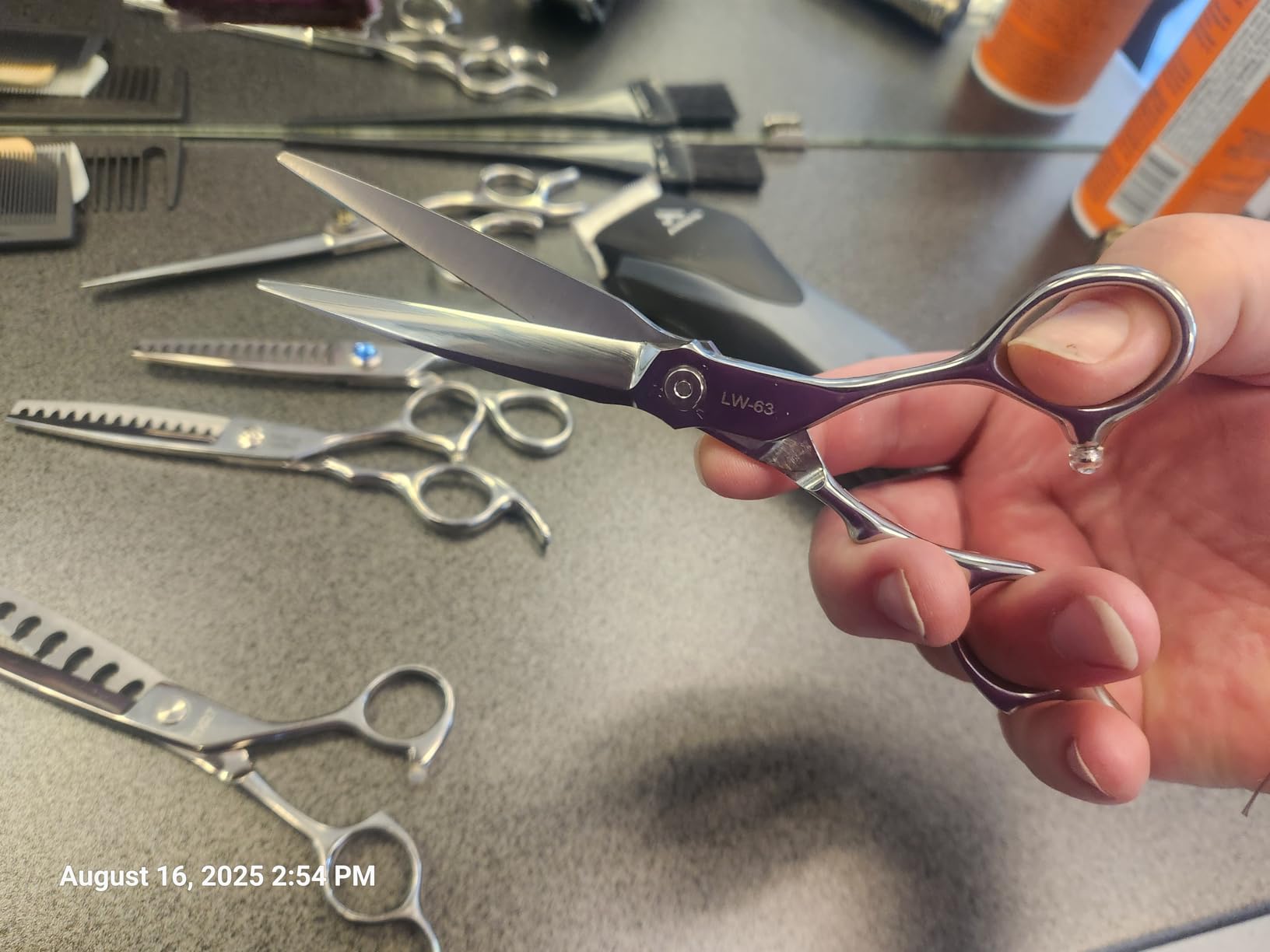 Professional Hair Shears 6.5 in Extremely Sharp Blades, Professional Hair Cutting Scissors, Haircutting Scissors for Professionals, Hair Scissors customer photo 1