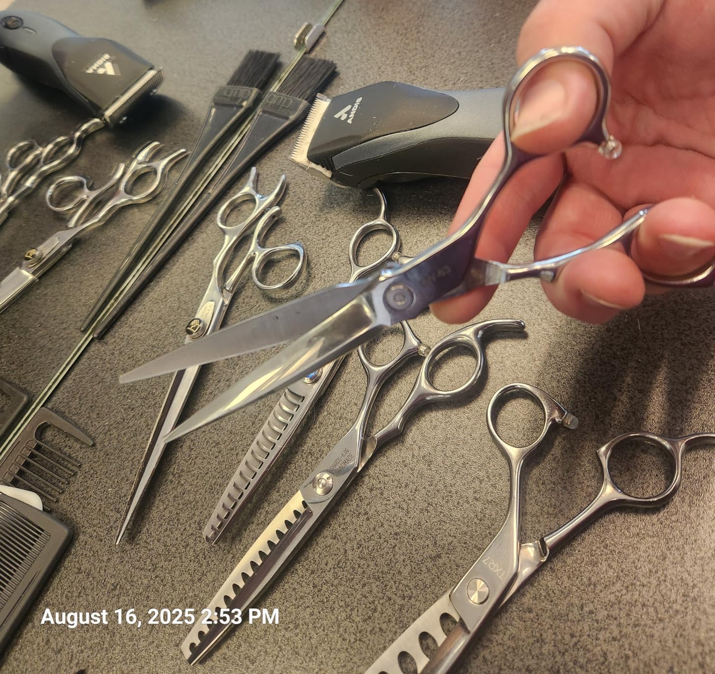 Professional Hair Shears 6.5 in Extremely Sharp Blades, Professional Hair Cutting Scissors, Haircutting Scissors for Professionals, Hair Scissors customer photo 2