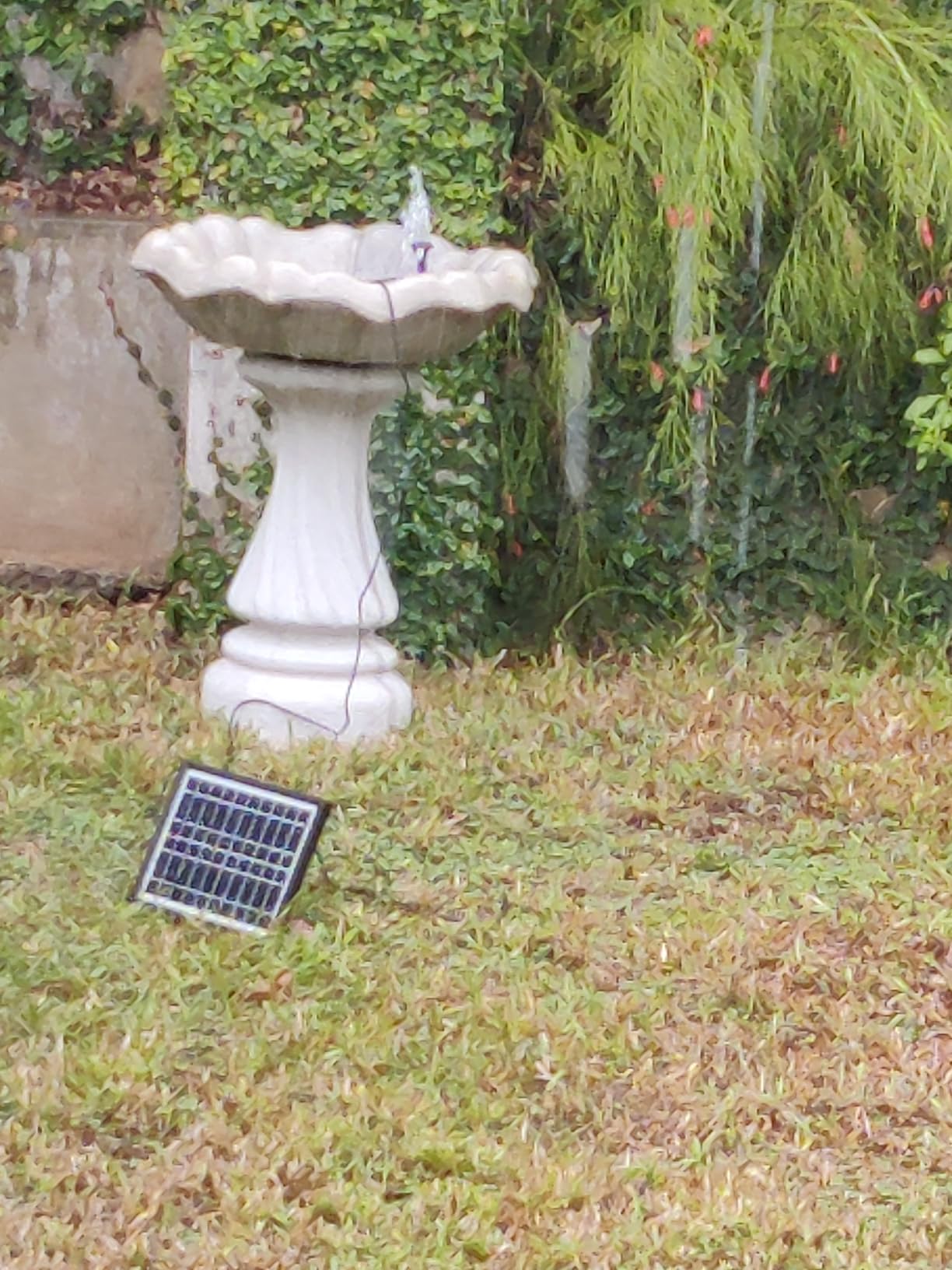 POPOSOAP 6.5W Solar Fountain Pump for Bird Bath Built-in 3000mAh Battery Backup, DIY Solar Water Fountain with Double-Layer Nozzles & Dry-Run Protection 5Ft Tubing for Ponds, Bird Bath, Water Features customer photo 1