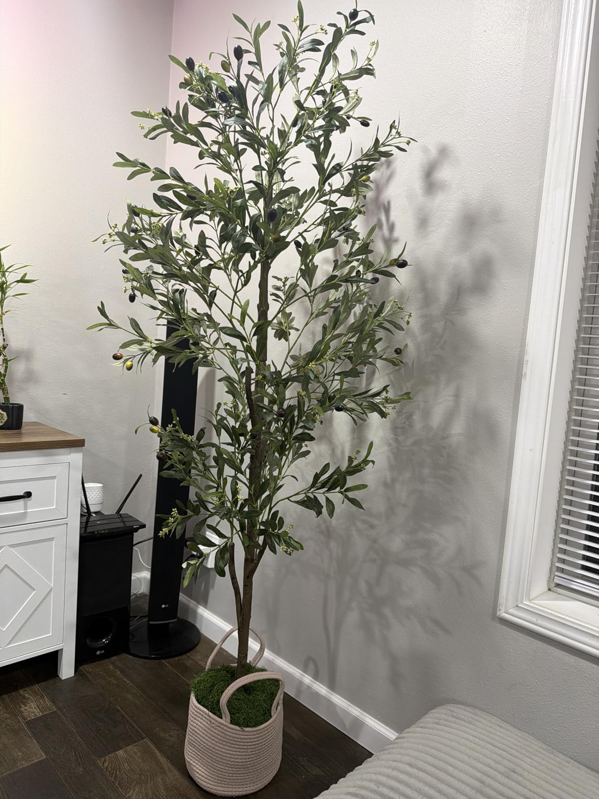 Caxchiling Faux Eucalyptus Tree 6FT, Artificial Potted Tree for Indoor Outdoor, Fake Floor Plants with Natural Wood Trunk, Home Office Living Room Bedroom Decor customer photo 1