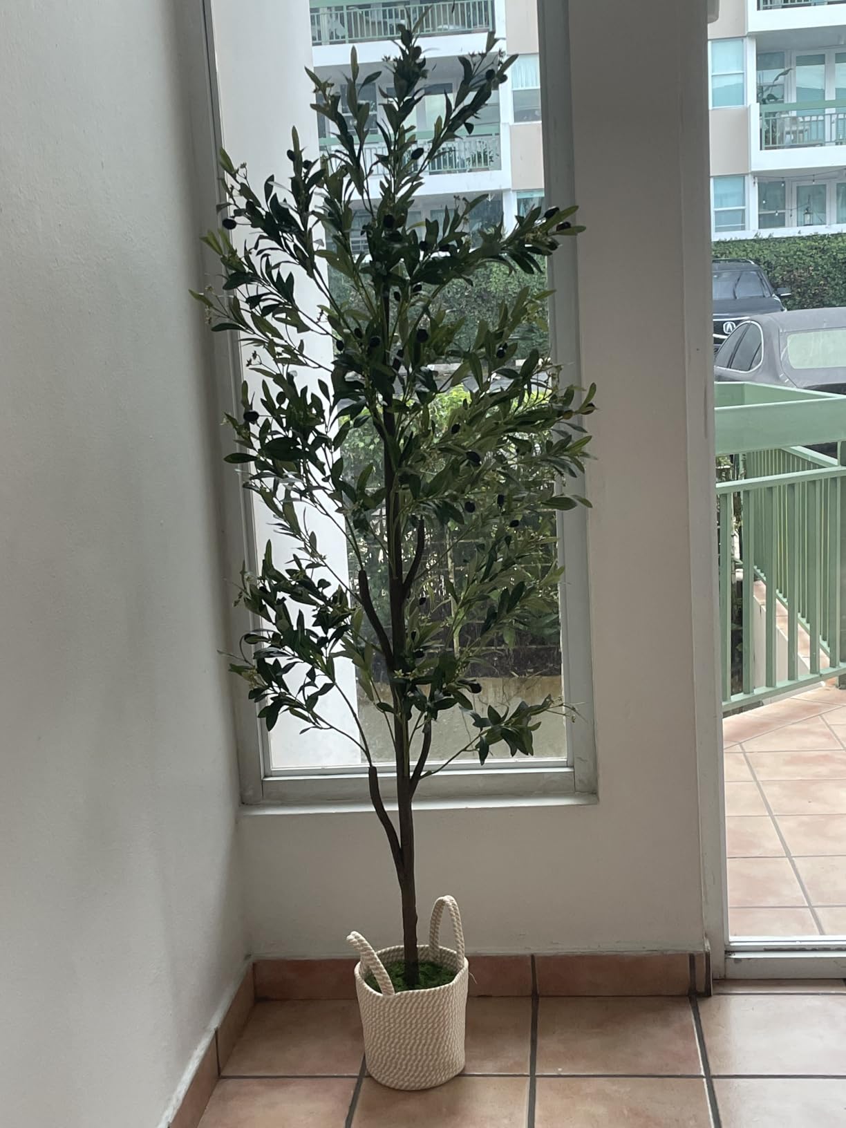 Caxchiling Faux Eucalyptus Tree 6FT, Artificial Potted Tree for Indoor Outdoor, Fake Floor Plants with Natural Wood Trunk, Home Office Living Room Bedroom Decor customer photo 2