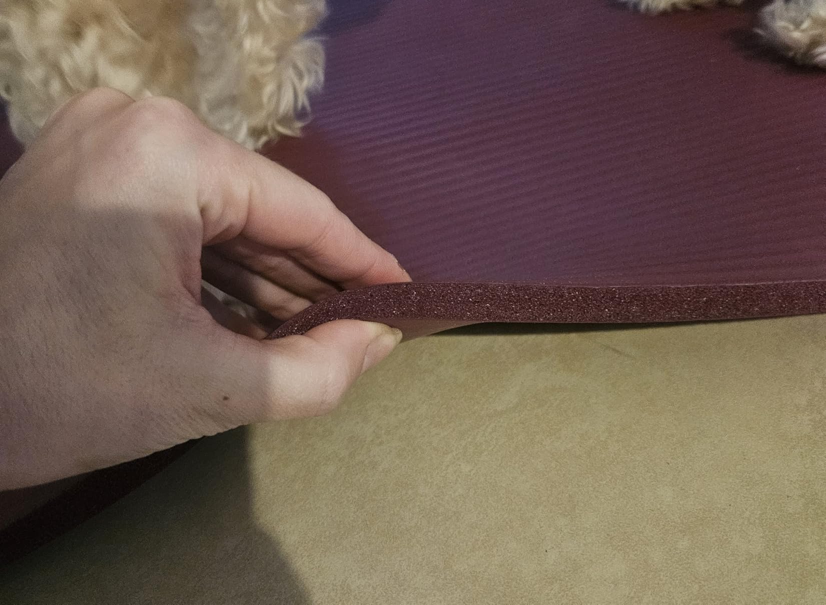Fitvids Yoga Mat, 1/2-Inch Extra Thick High Density Exercise Mat, Anti-Tear Exercise Yoga Mat with Carrying Strap, Suitable for Various Yoga Exercises customer photo 2