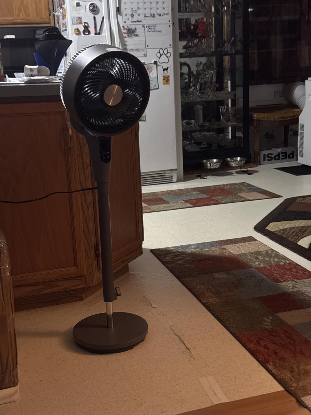DREO Fan for Bedroom, 2026 Upgraded, 90ft Airflow, 20dB Quiet Fan, 90° Oscillating Standing Fan for Whole Room, DC Motor, 8+H Speeds, 3 Modes, 38-42'' Adjustable Height, 8H Timer, 105° Manual Vertical customer photo 1