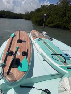 Hydrohero Electric Paddle Board Pump, Rechargeable 20PSI High Pressure SUP Pump, Intelligent Dual Stage Inflation & Deflation, Auto-Off for Stand Up Paddle Boards, Surfing Kite, Tent, Boat customer photo 2