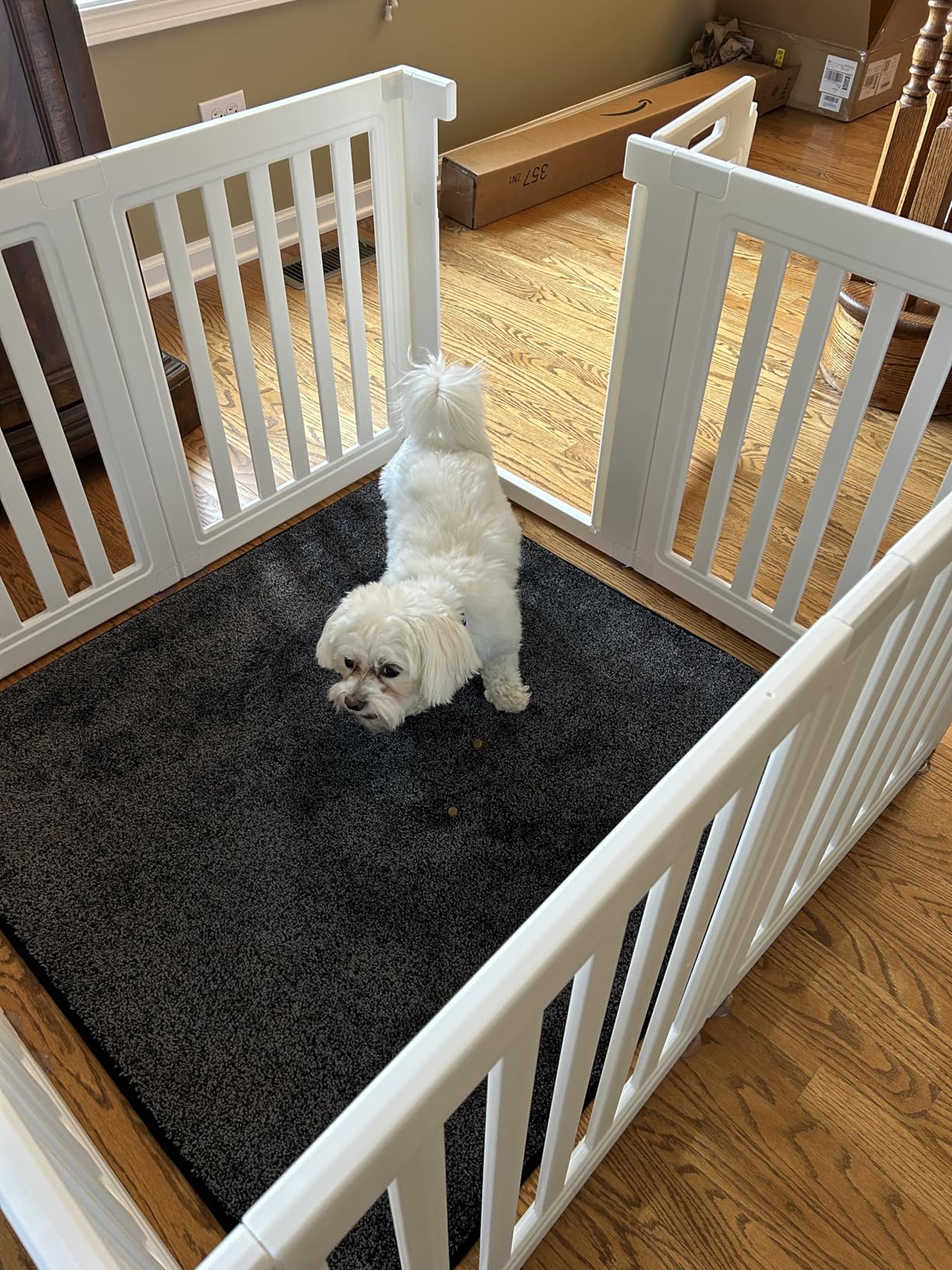 Dog Playpen, Clear Dog Pen, Dog Pen Indoor, Easy to Install and Remove Dog Play Pen, Puppy Playpen Suitable for Dogs, Cats,Dog Playpen Indoor (White, 23.6 inch Height, 8 Panels) customer photo 2