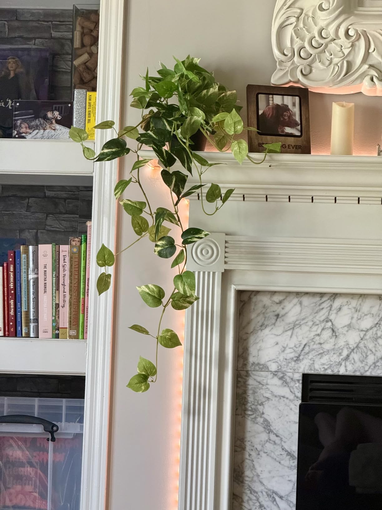 alyptus Fake Pothos Hanging Plants - 33