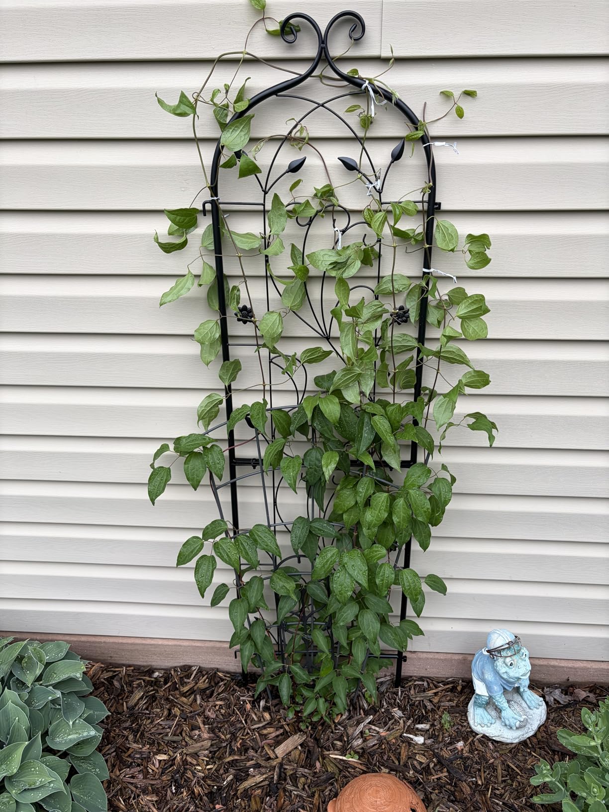 VEVOR Garden Trellis for Climbing Plants, 87 x 20 in, 2 Packs Rustproof Metal Garden Flower Trellis, Outdoor Climbing Rose Trellis Cucumbers Support, Decorative Clematis Trellis for Courtyards Lawns customer photo 1