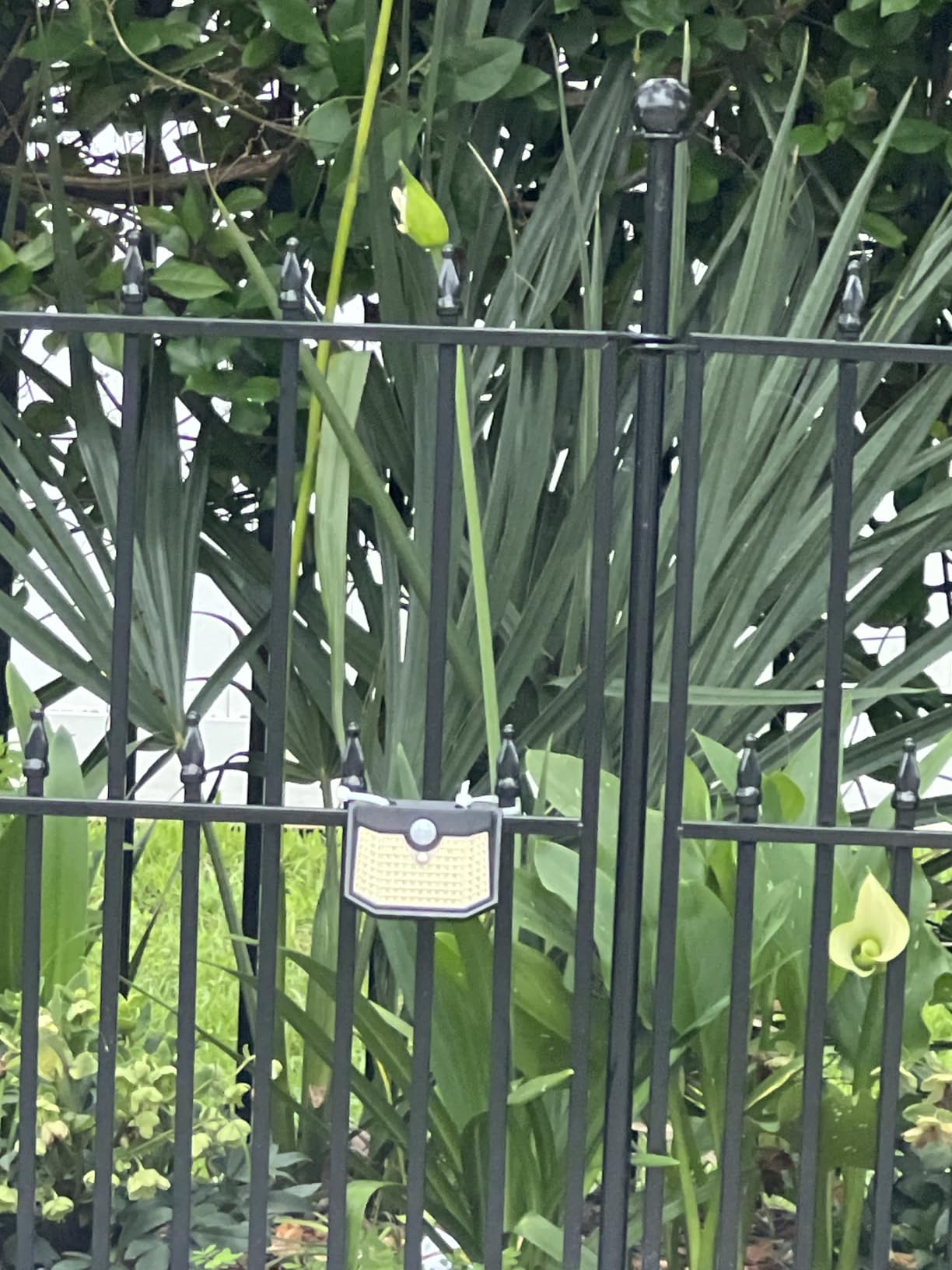 HMCITY 120 LED Outdoor Solar Lights with Motion Sensor and 3 Lighting Modes, IP65 Waterproof Wide Solar Wall Lights Ideal for Garden Patio Yard (Front Button 6Packs, Black Shell-Daylight White) customer photo 1