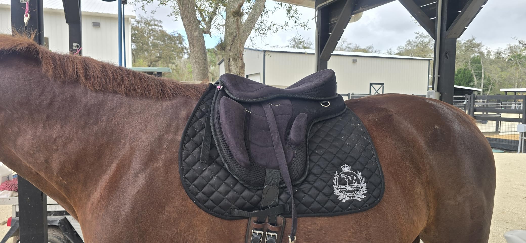 ADB CREATIONS Treeless Freemax English Horse Saddle for Pony & Adult Riders, Lightweight Synthetic All-Purpose Saddle with Girth & Aluminum Stirrups customer photo 1