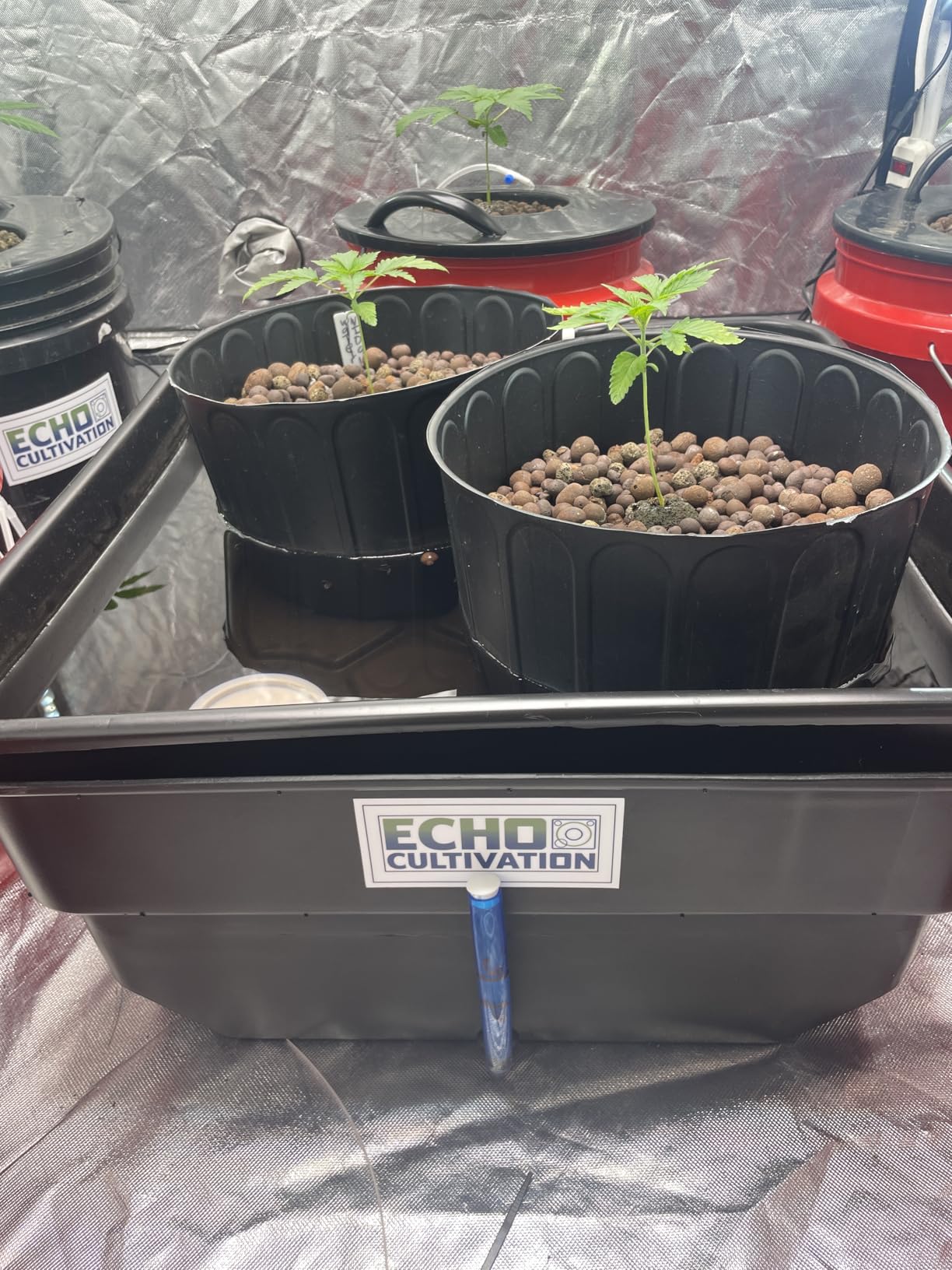 Hydroponic Flood Table Grow System (Ebb and Flow) Perfect for 2 x 2 Tents customer photo 1