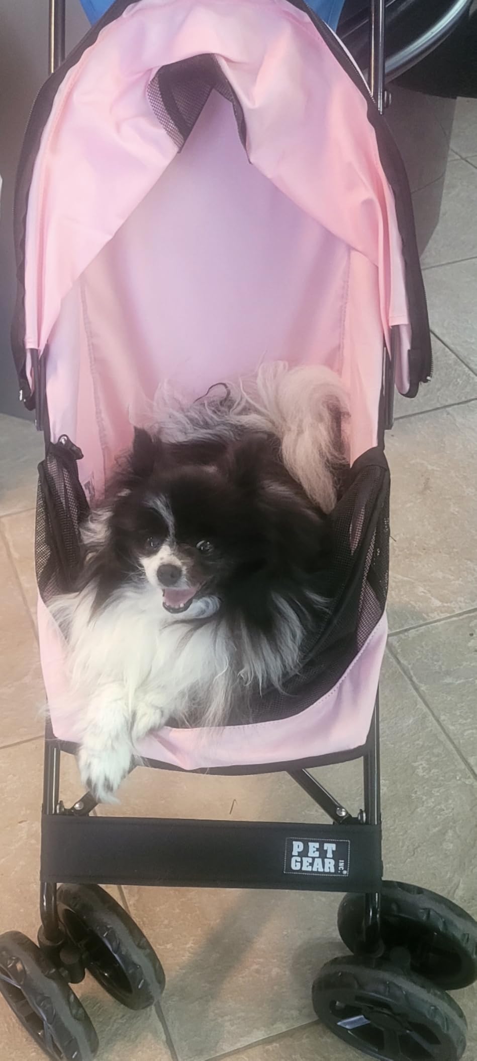 Pet Gear Travel Lite Plus Stroller, Compact, Easy Fold, No Assembly Required, Large Wheels for Cats and Dogs up to 15 pounds, Light Pink customer photo 1