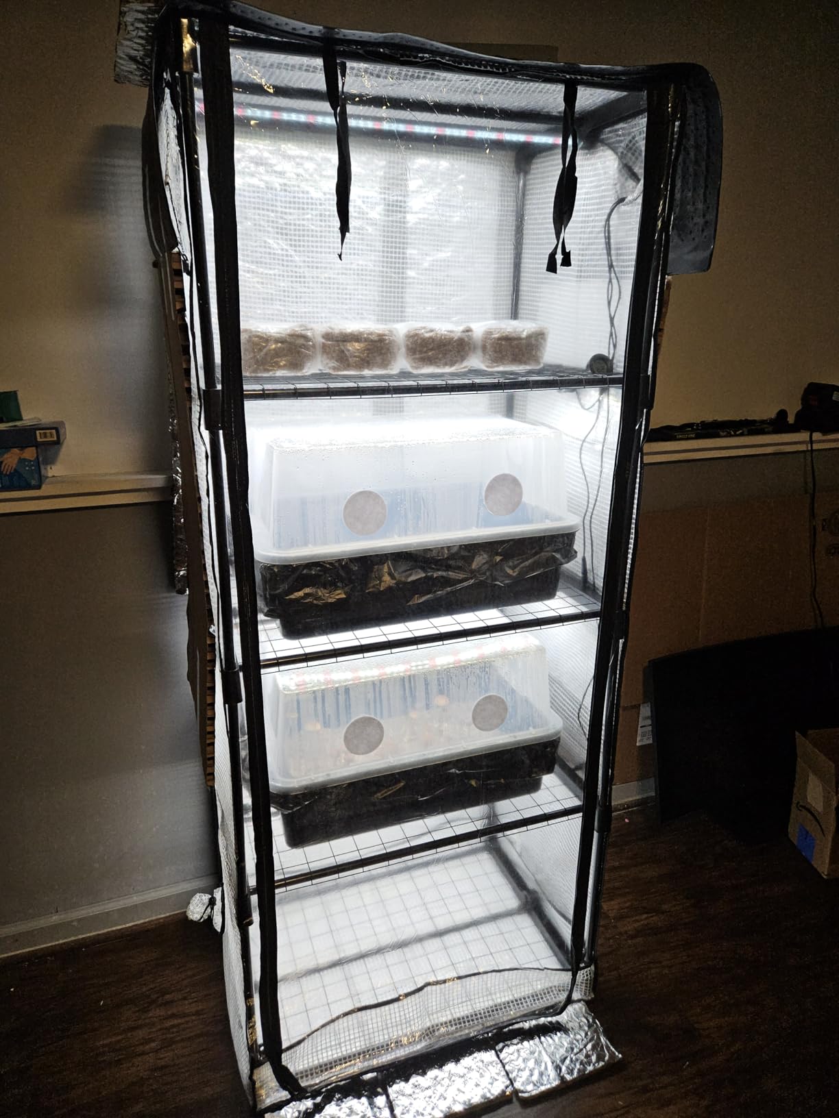 Mushroom Grow Tent with 6500K LED Light & Timer, 4-Tier Shelves Fit Up to 8 Monotubs, Mini Indoor Greenhouse with Grow Light, Waterproof Tray, 4 Vents, Martha Tent customer photo 1