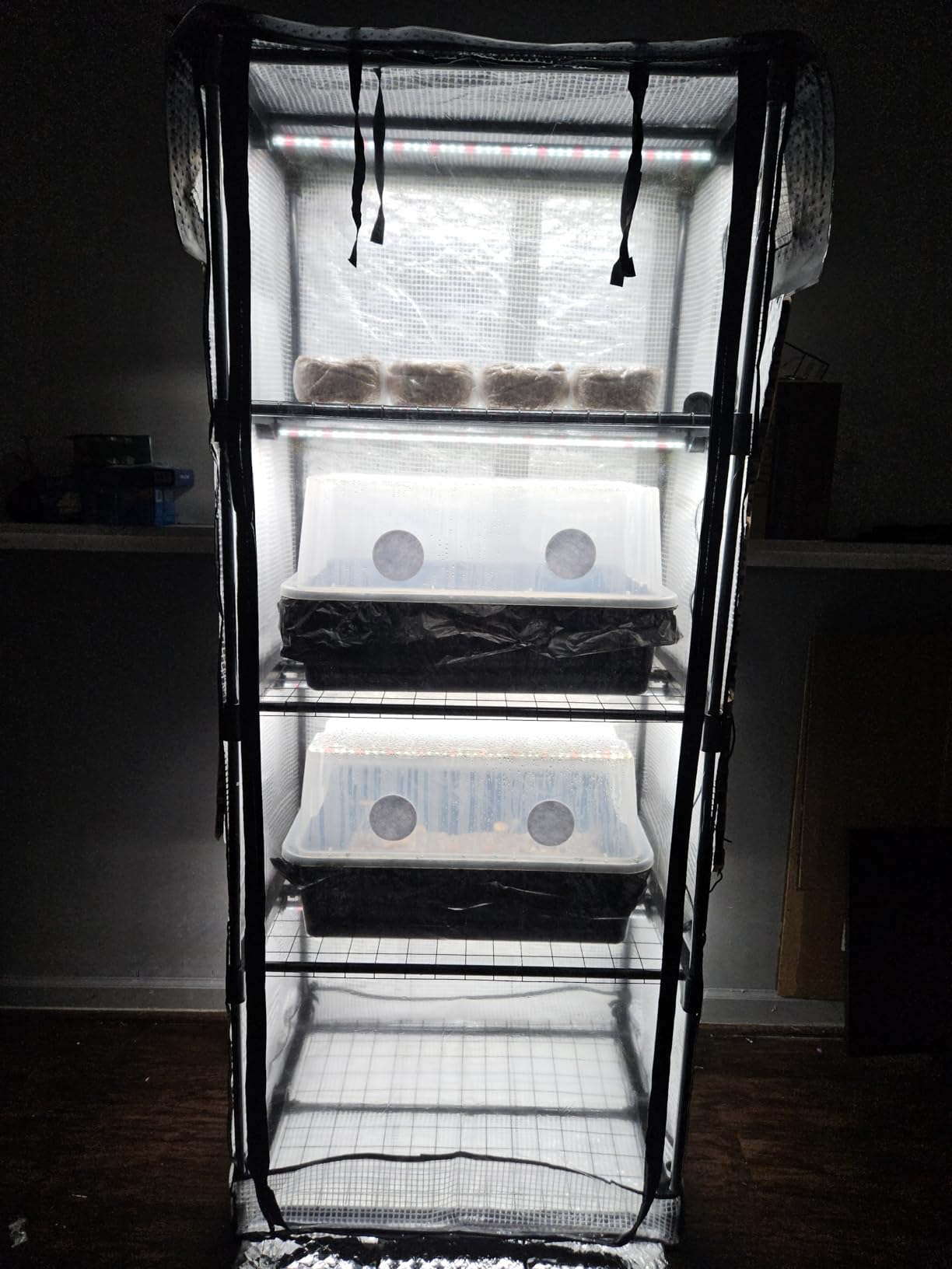 Mushroom Grow Tent with 6500K LED Light & Timer, 4-Tier Shelves Fit Up to 8 Monotubs, Mini Indoor Greenhouse with Grow Light, Waterproof Tray, 4 Vents, Martha Tent customer photo 2