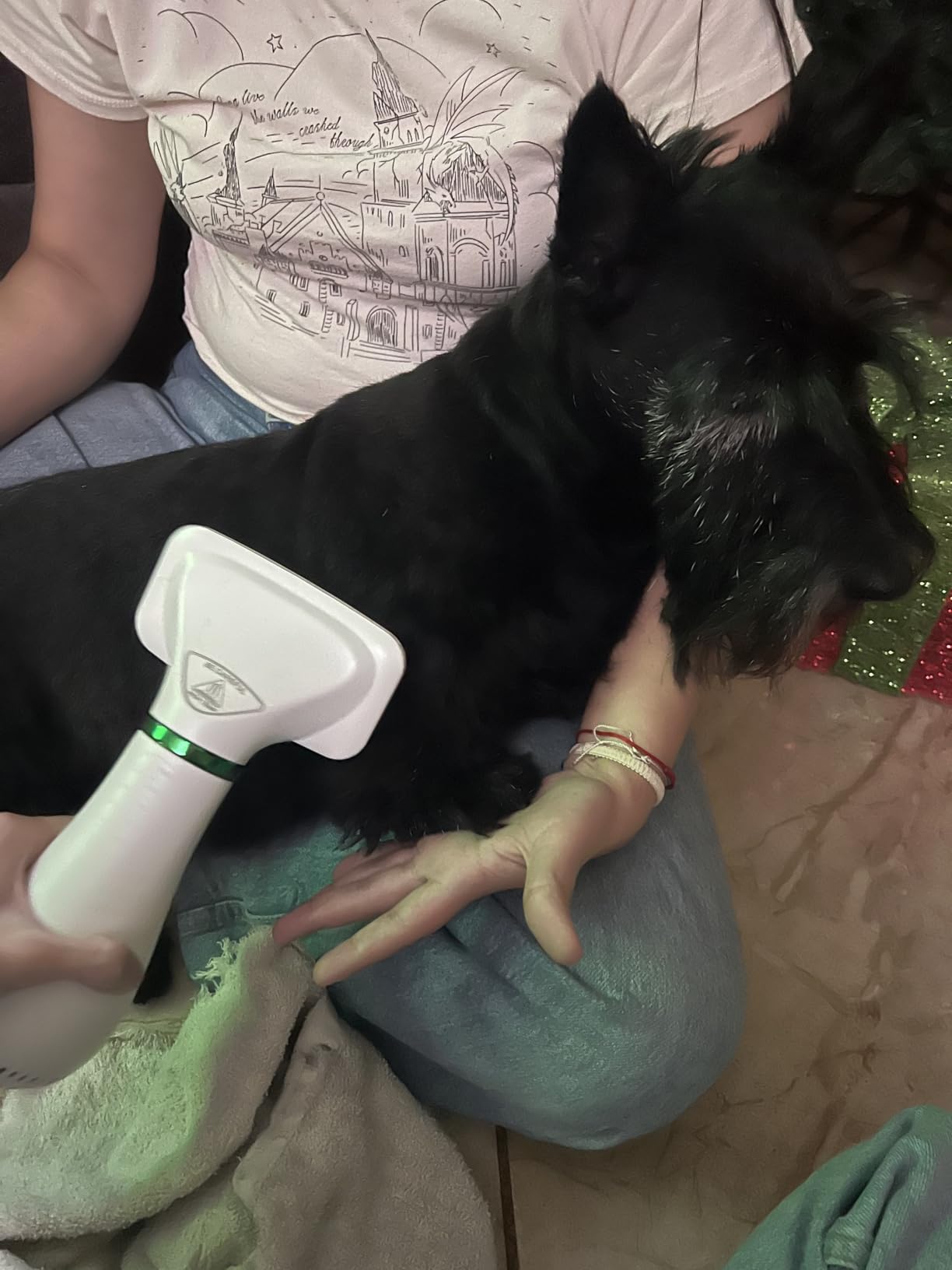 Dog Brush for Shedding, Professional 2-in-1 Pet Hair Dryer & Dog Grooming Brush with Removable Comb, Adjustable Temperature/Speed, Portable Brush for Dogs and Cats customer photo 1